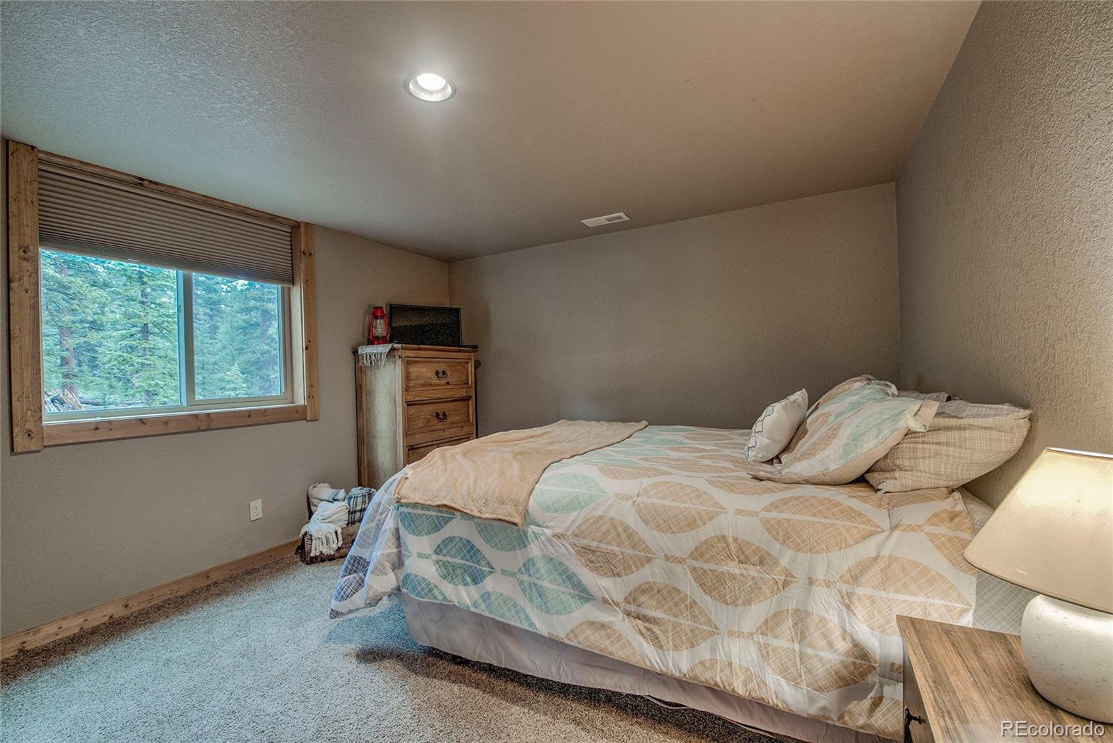 MLS Image #17 for 566  miners way,fairplay, Colorado