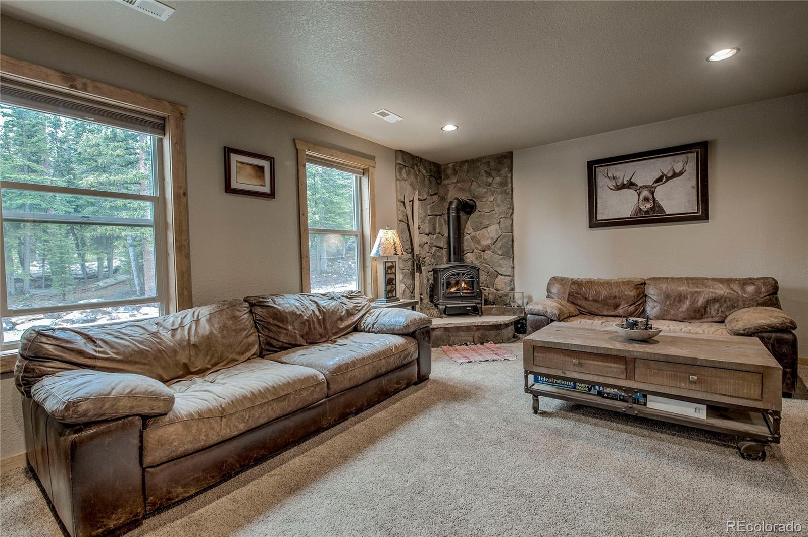 MLS Image #19 for 566  miners way,fairplay, Colorado