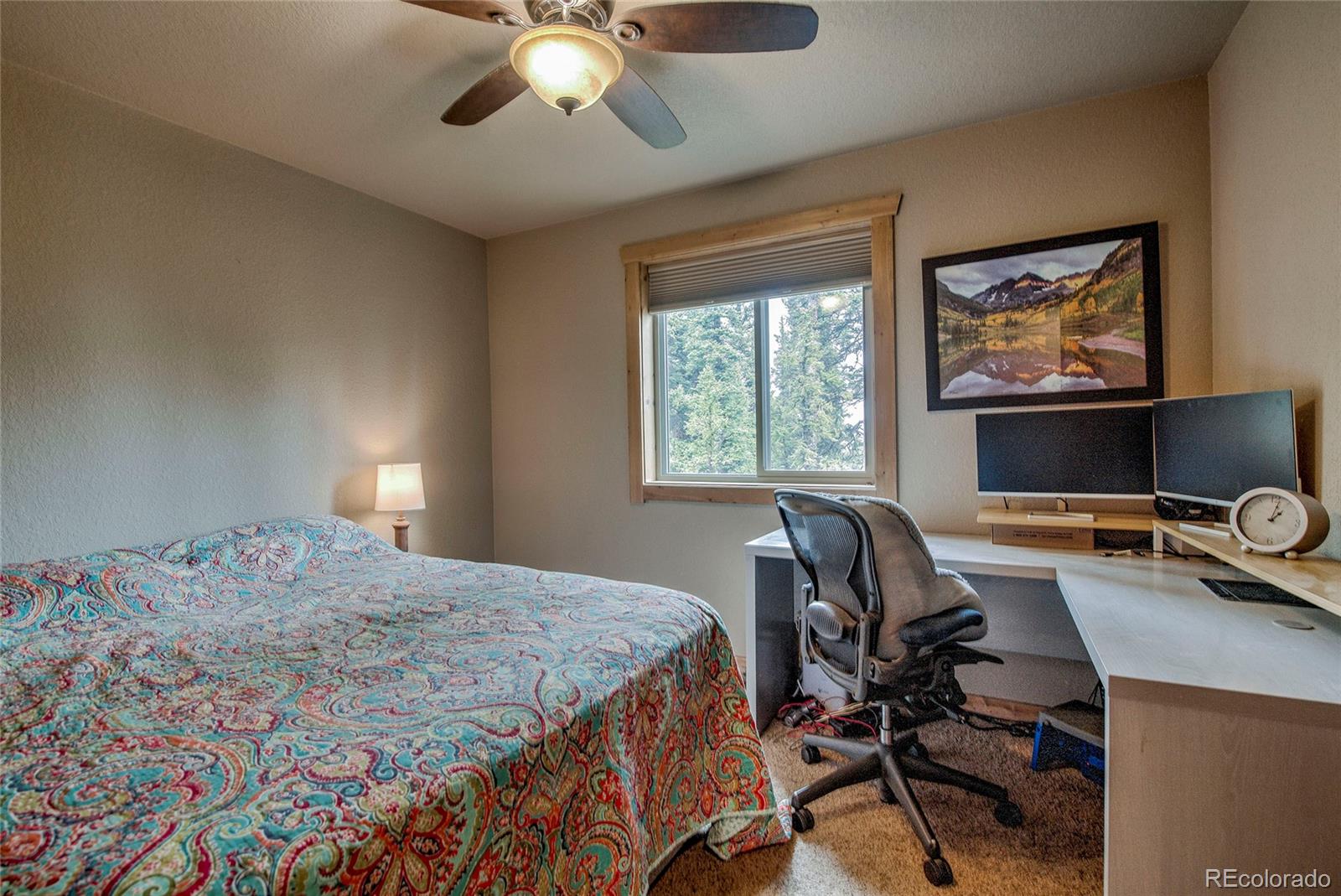 MLS Image #21 for 566  miners way,fairplay, Colorado