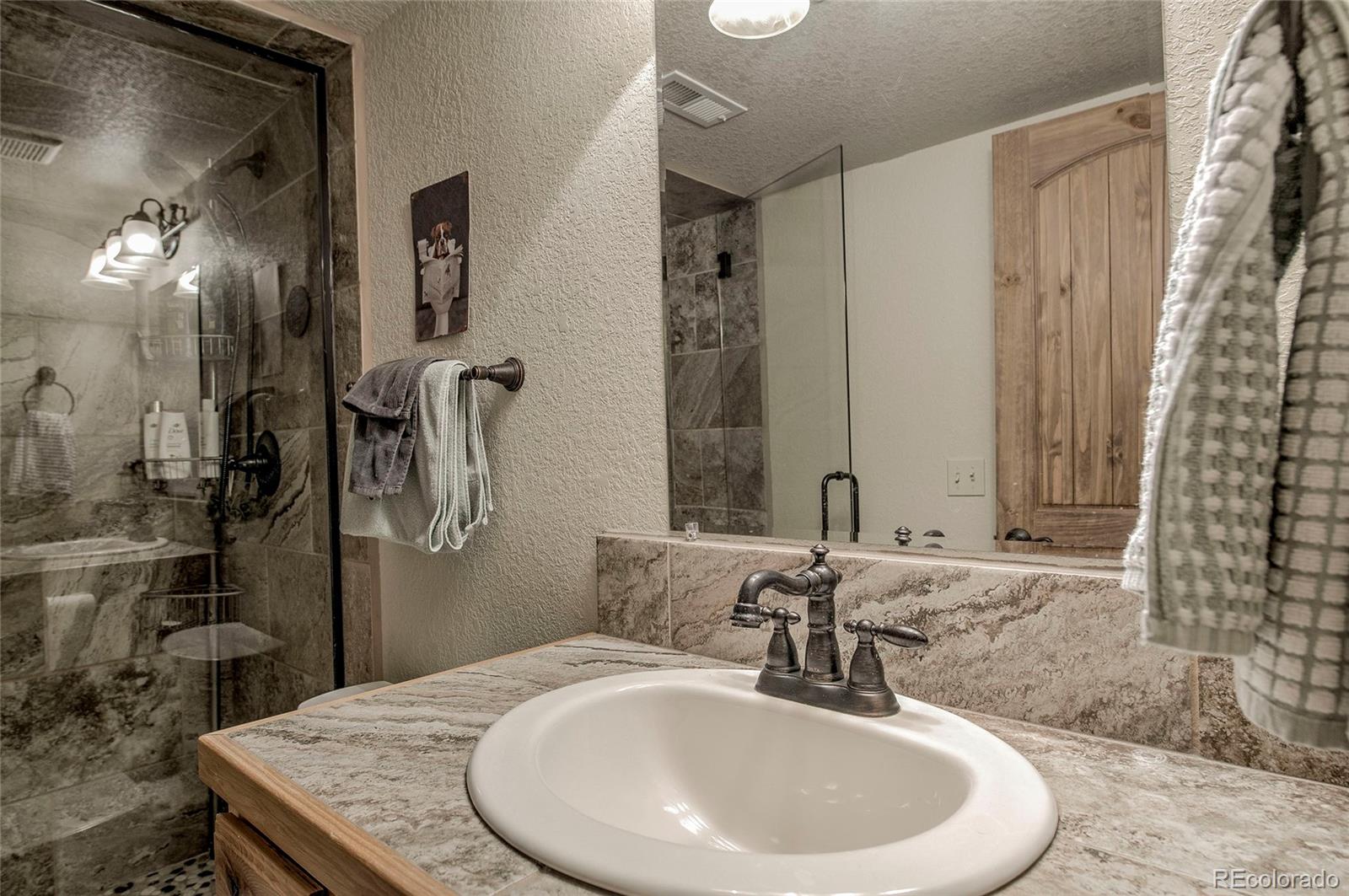 MLS Image #22 for 566  miners way,fairplay, Colorado