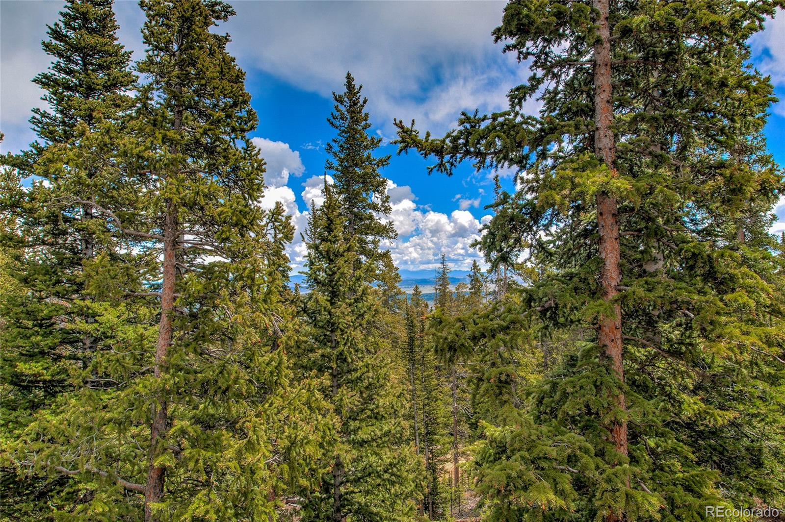 MLS Image #29 for 566  miners way,fairplay, Colorado
