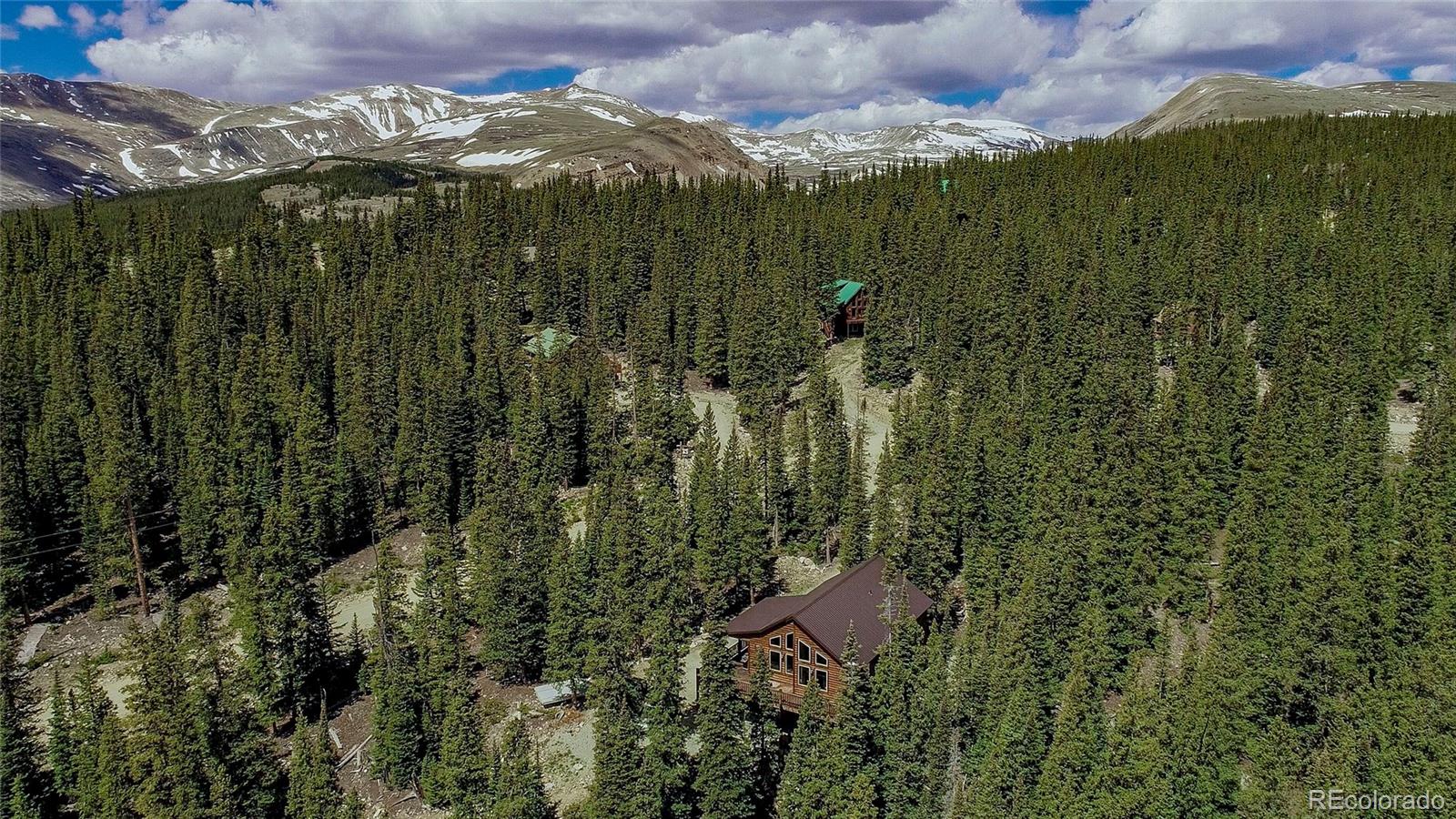 MLS Image #3 for 566  miners way,fairplay, Colorado