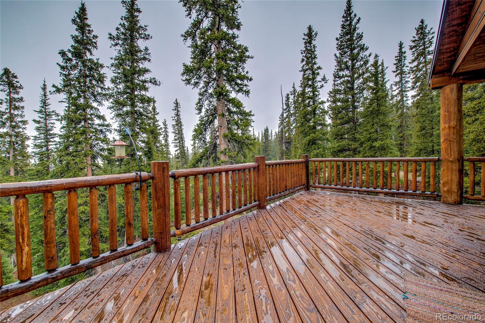MLS Image #30 for 566  miners way,fairplay, Colorado