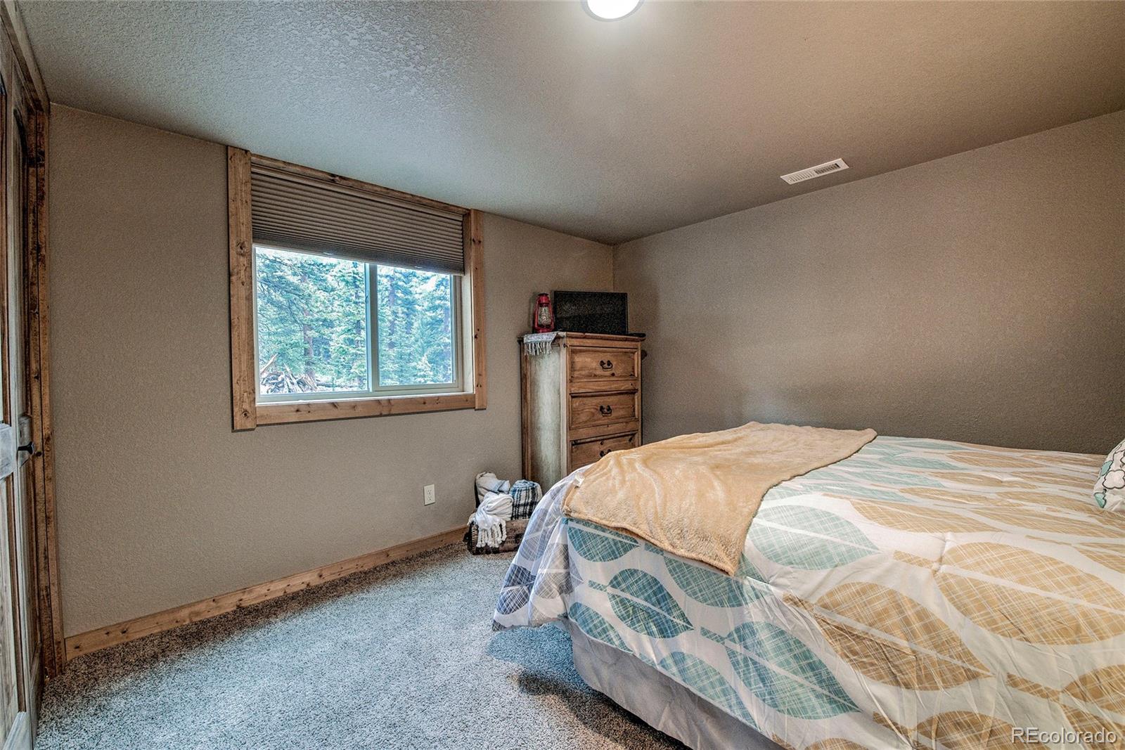MLS Image #31 for 566  miners way,fairplay, Colorado
