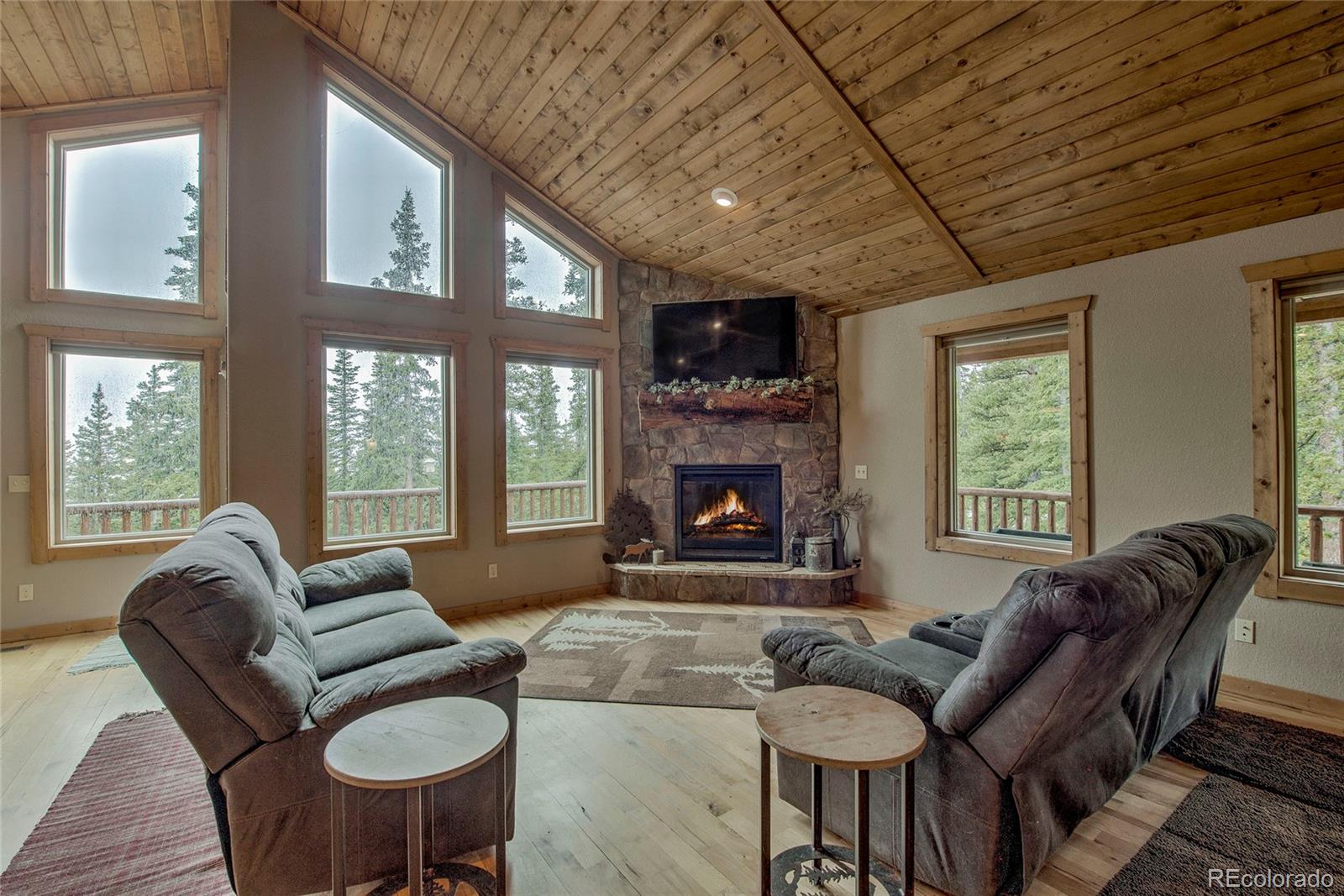 MLS Image #6 for 566  miners way,fairplay, Colorado