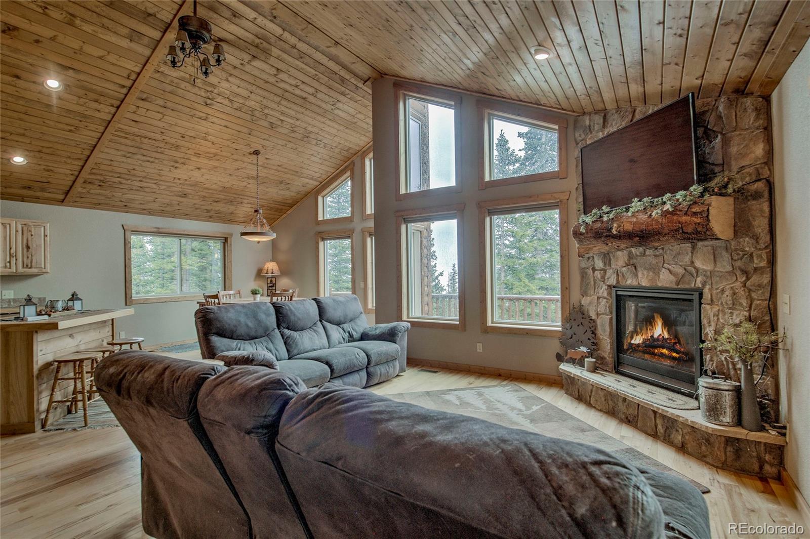 MLS Image #7 for 566  miners way,fairplay, Colorado