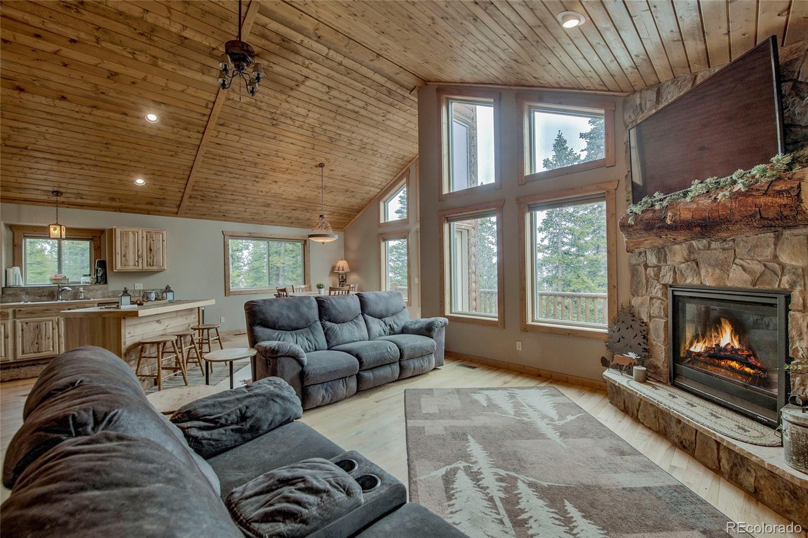 MLS Image #8 for 566  miners way,fairplay, Colorado