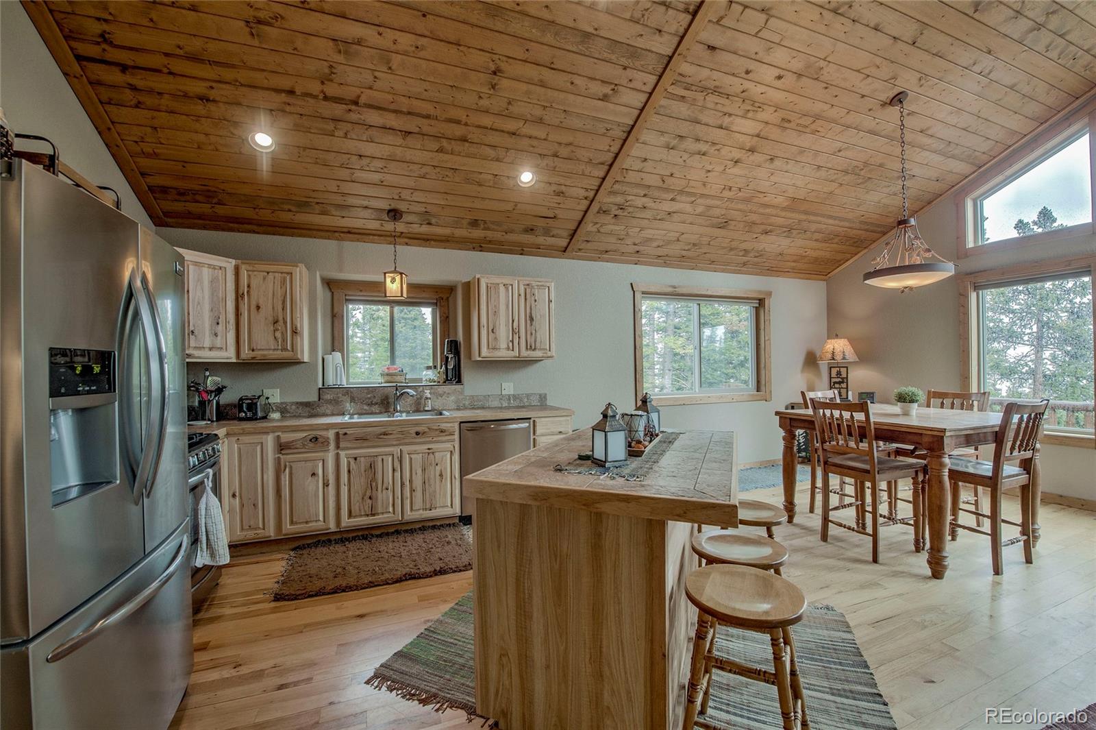 MLS Image #9 for 566  miners way,fairplay, Colorado