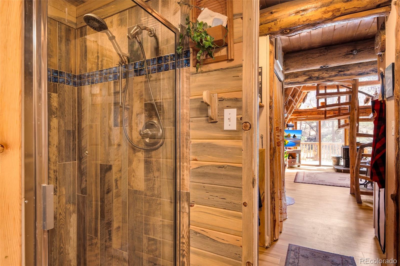 MLS Image #12 for 485  wren place,drake, Colorado