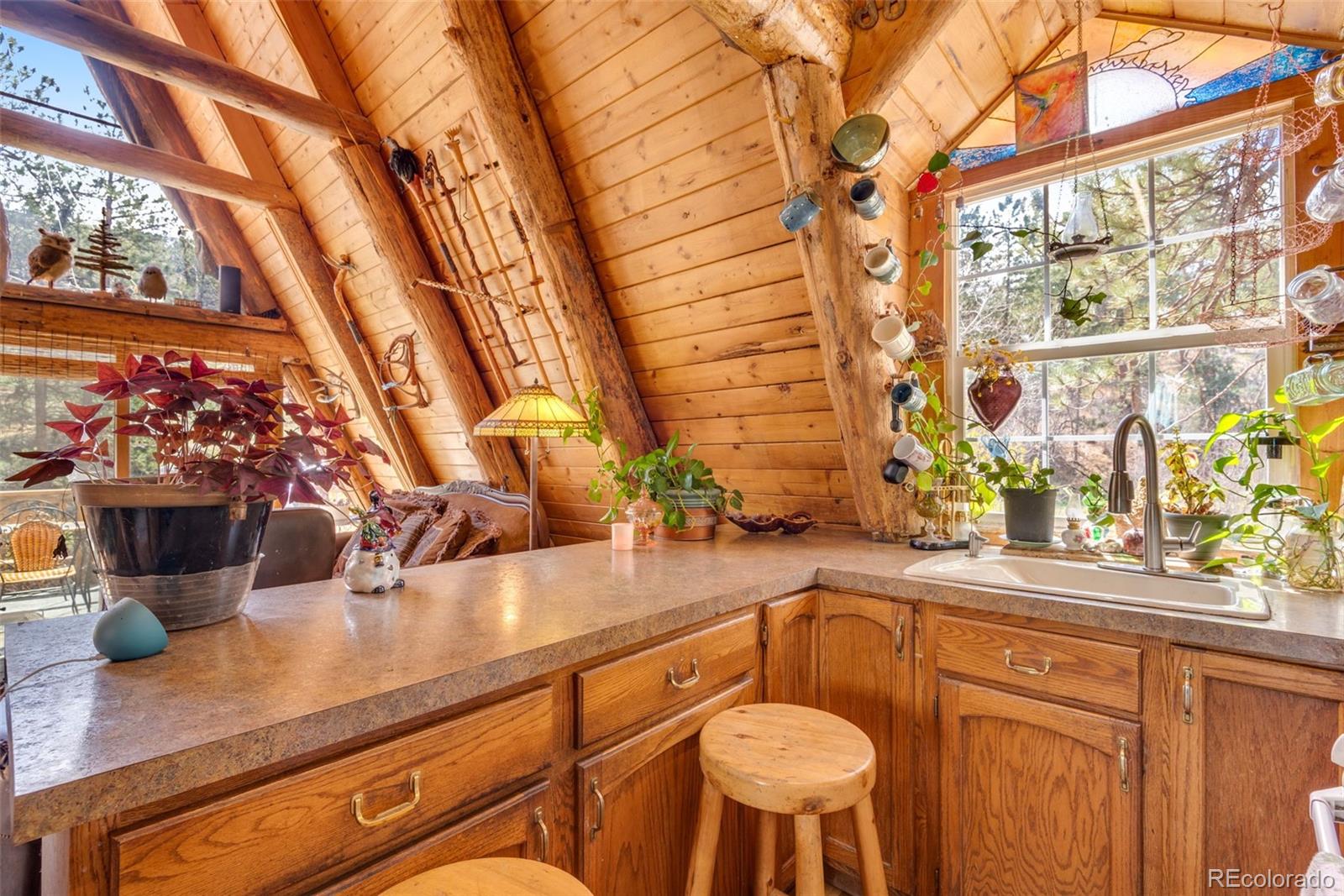 MLS Image #20 for 485  wren place,drake, Colorado