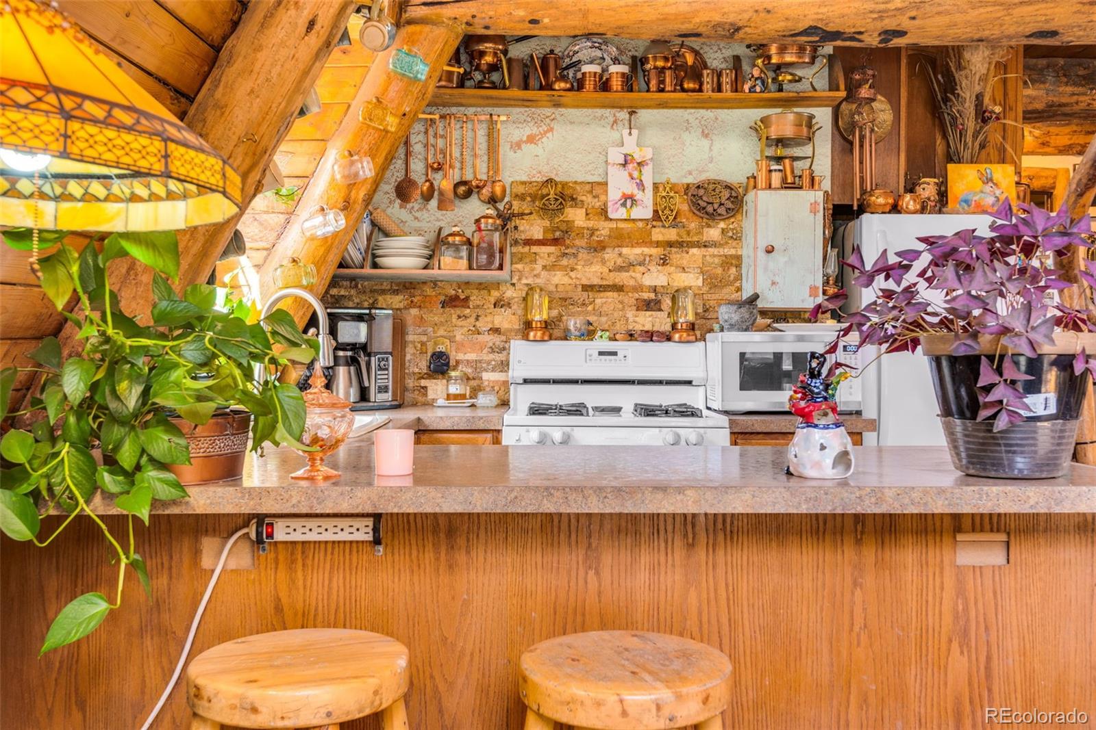 MLS Image #21 for 485  wren place,drake, Colorado