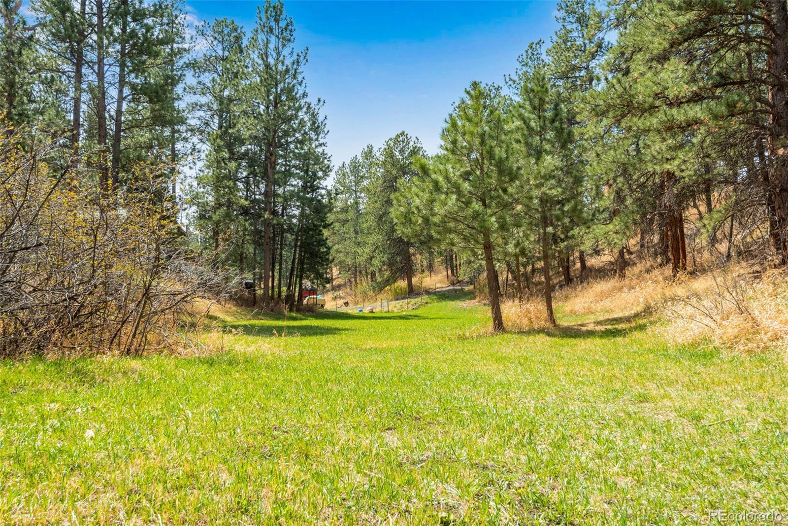 MLS Image #33 for 485  wren place,drake, Colorado