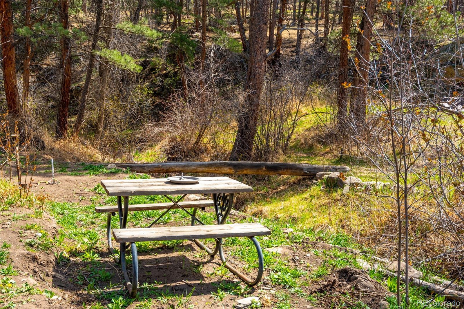 MLS Image #35 for 485  wren place,drake, Colorado