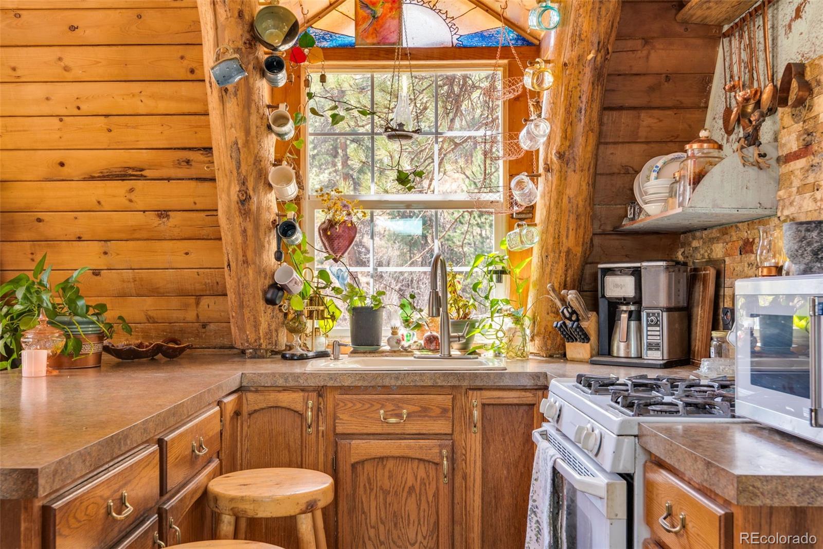 MLS Image #7 for 485  wren place,drake, Colorado