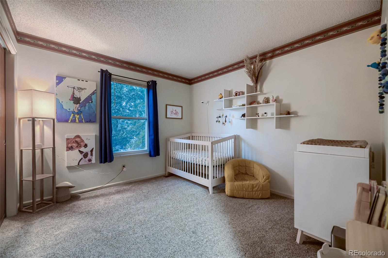 MLS Image #11 for 9862  independence street,broomfield, Colorado