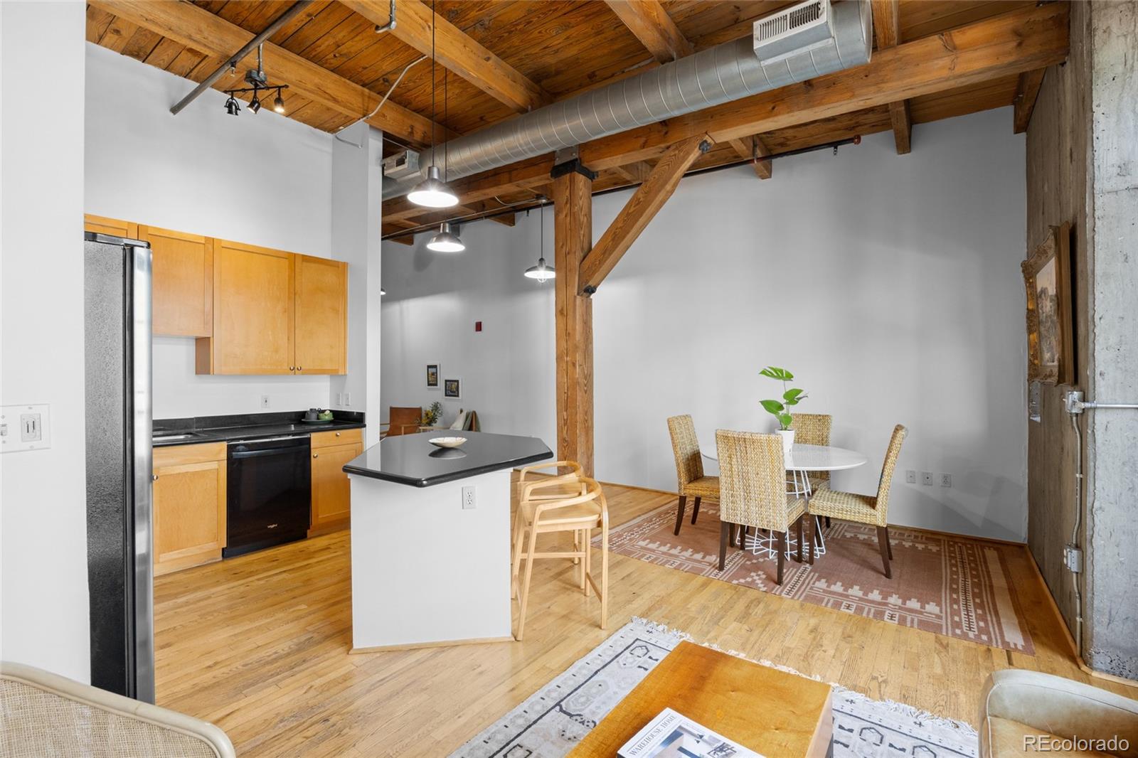 MLS Image #5 for 2960  inca street,denver, Colorado