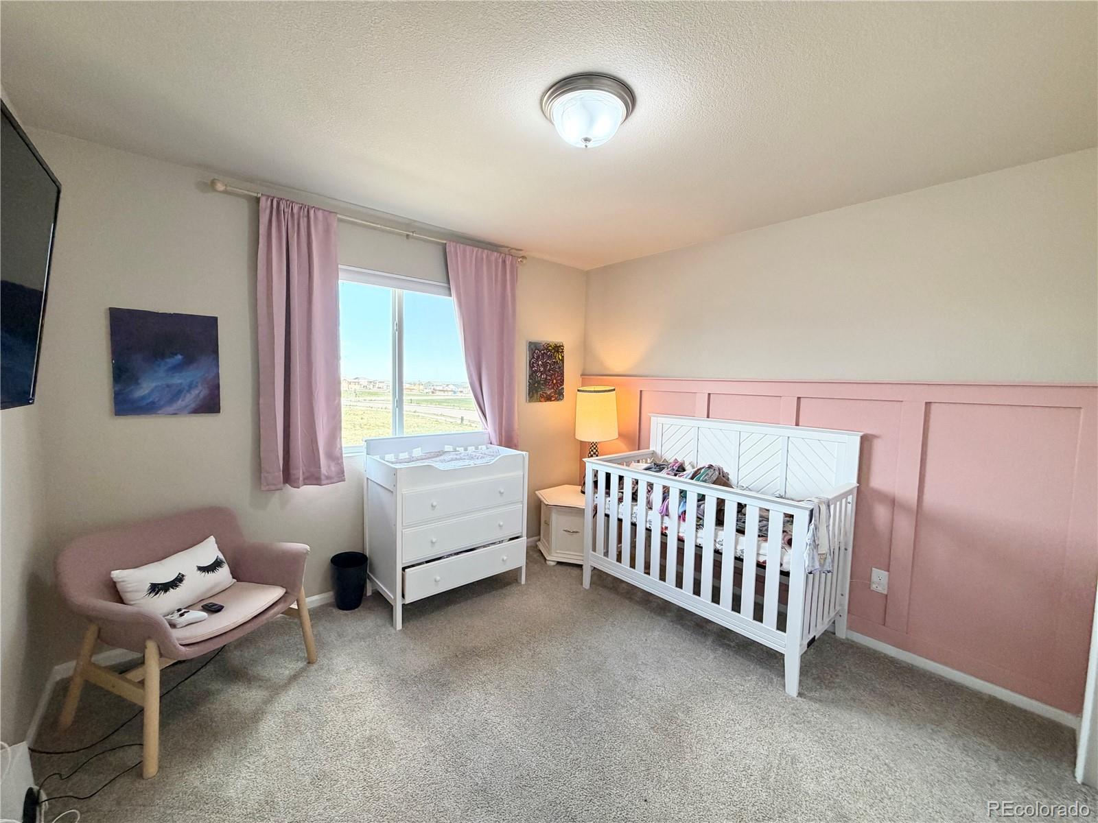 MLS Image #17 for 10710  rolling peaks drive,peyton, Colorado