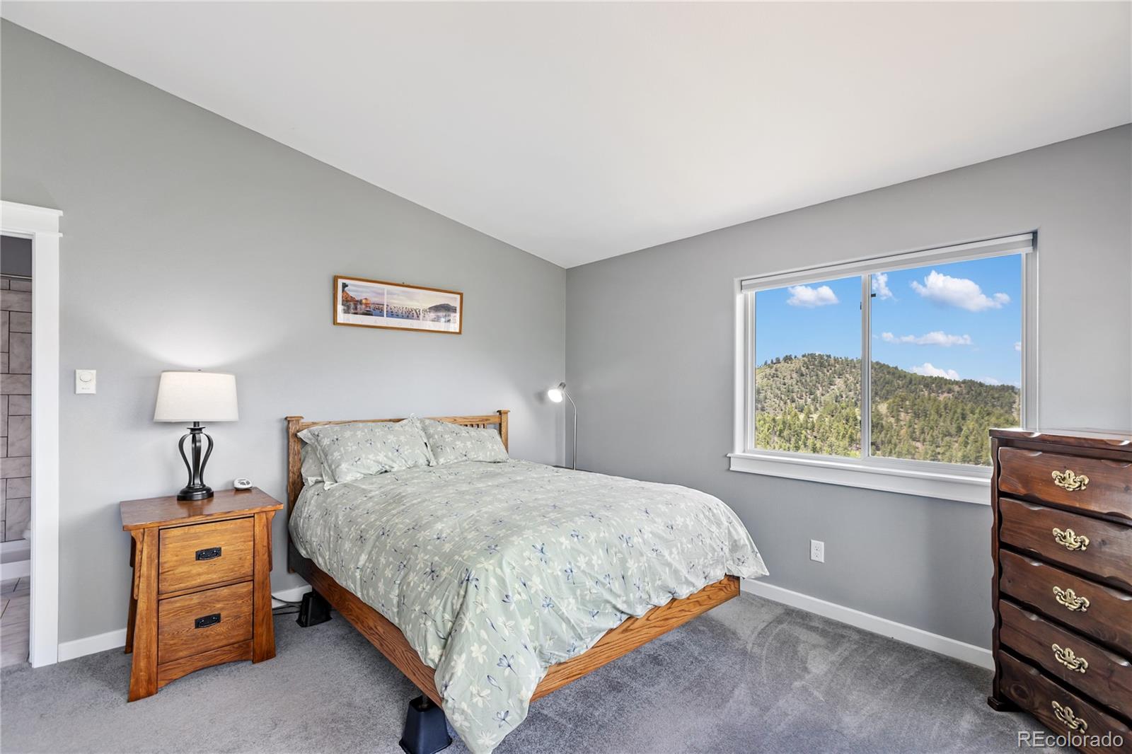 MLS Image #13 for 3043  county road 1 ,cripple creek, Colorado