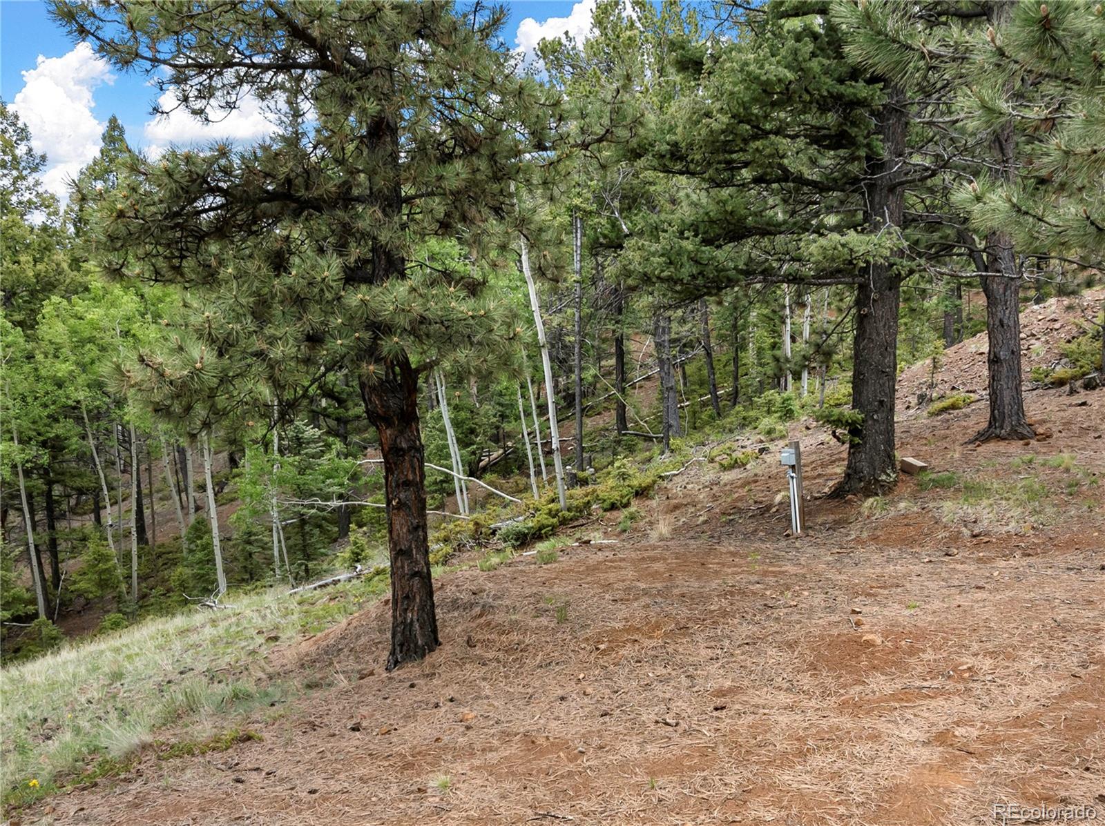 MLS Image #27 for 3043  county road 1 ,cripple creek, Colorado