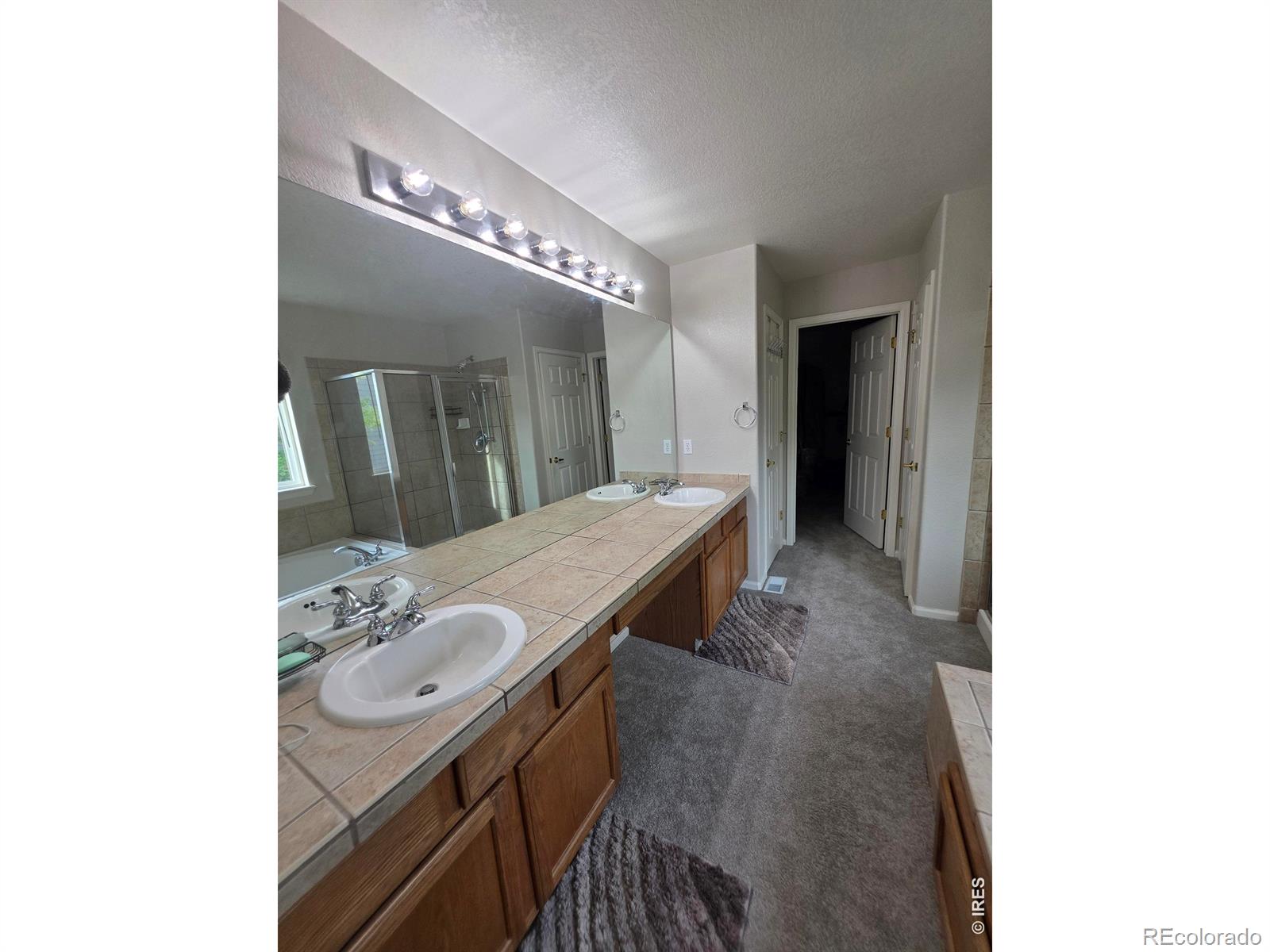 MLS Image #40 for 1734  wood duck drive,johnstown, Colorado