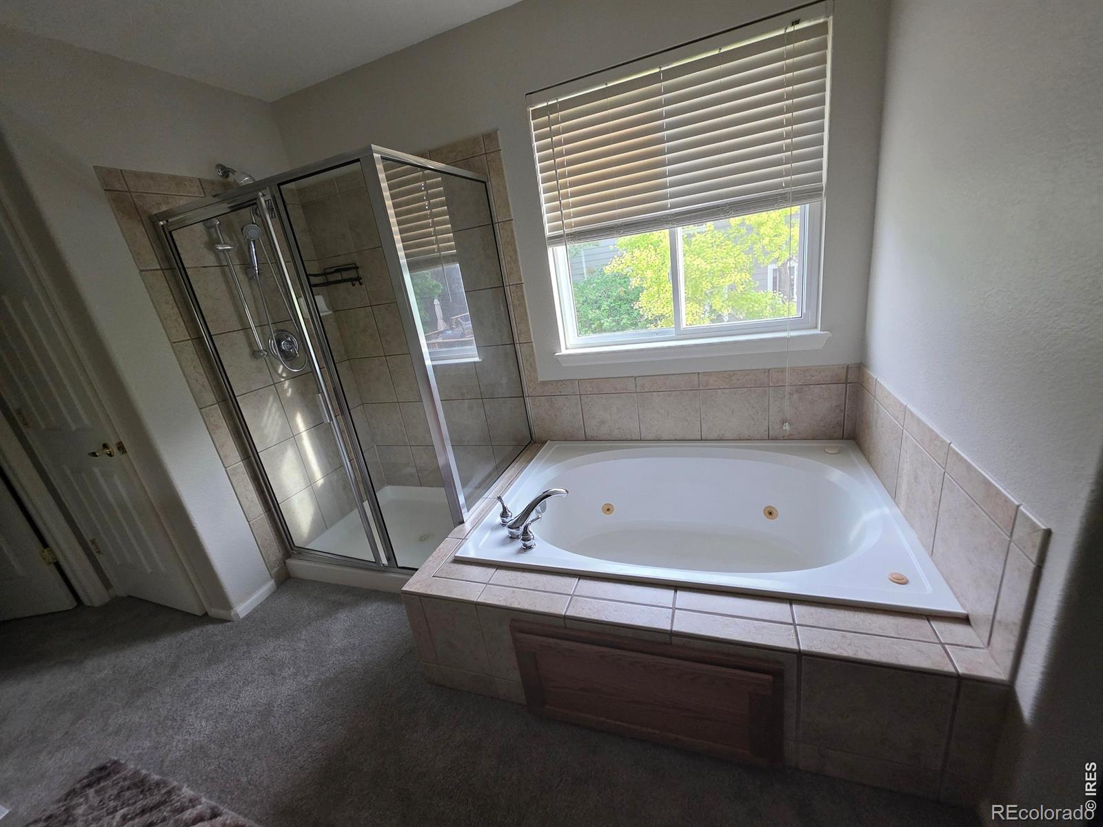 MLS Image #41 for 1734  wood duck drive,johnstown, Colorado