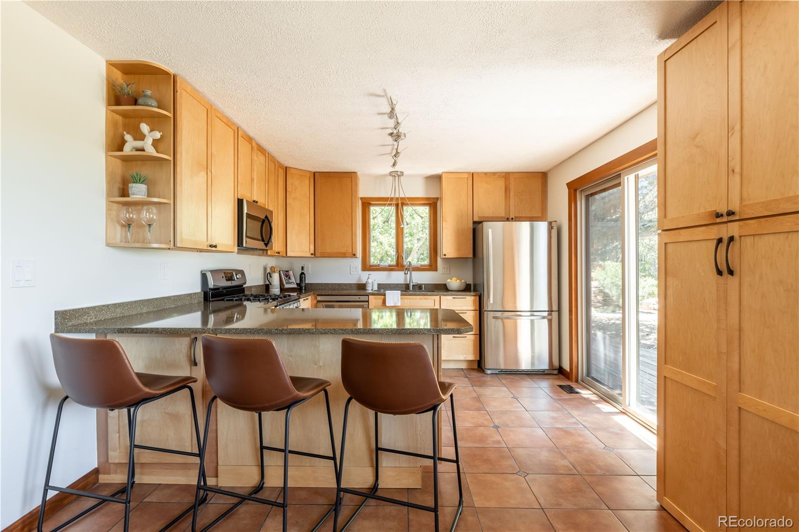 MLS Image #10 for 208  elm court,castle rock, Colorado
