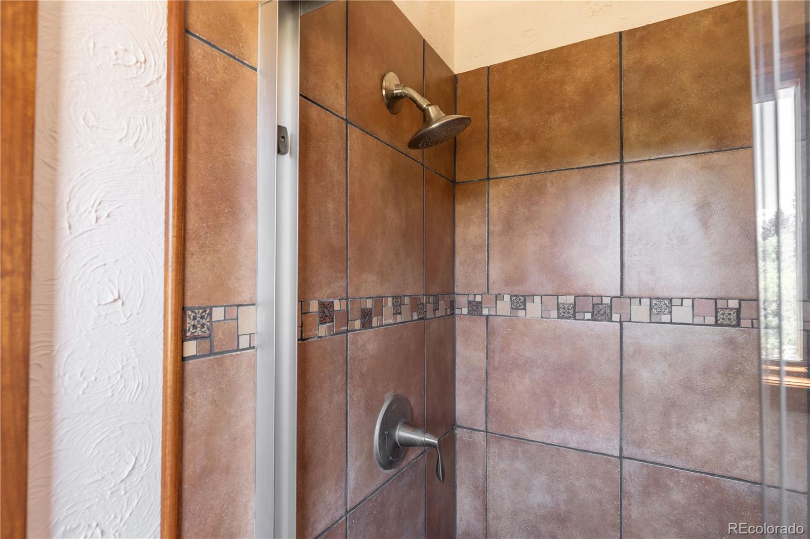 MLS Image #23 for 208  elm court,castle rock, Colorado