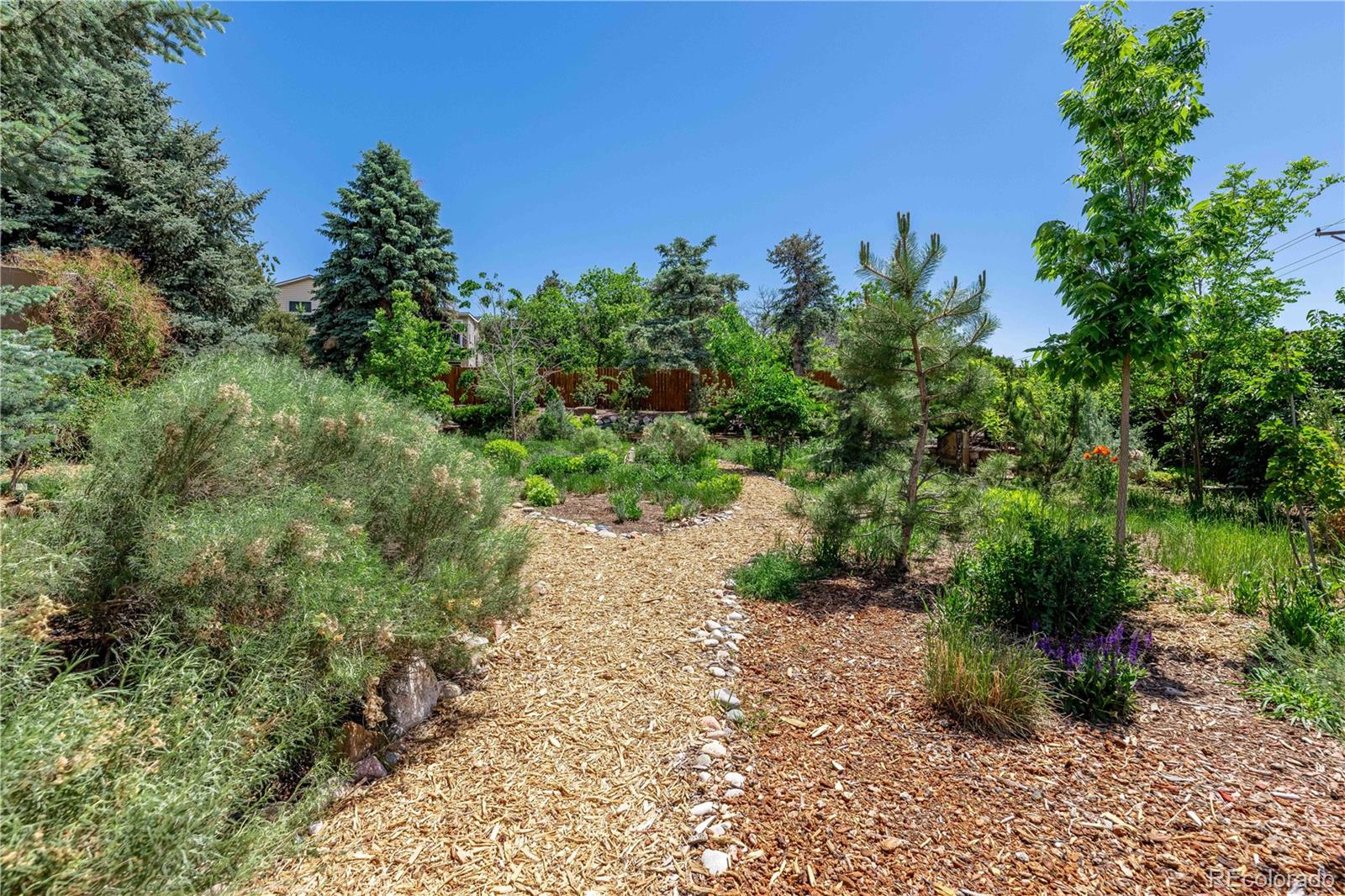 MLS Image #34 for 208  elm court,castle rock, Colorado