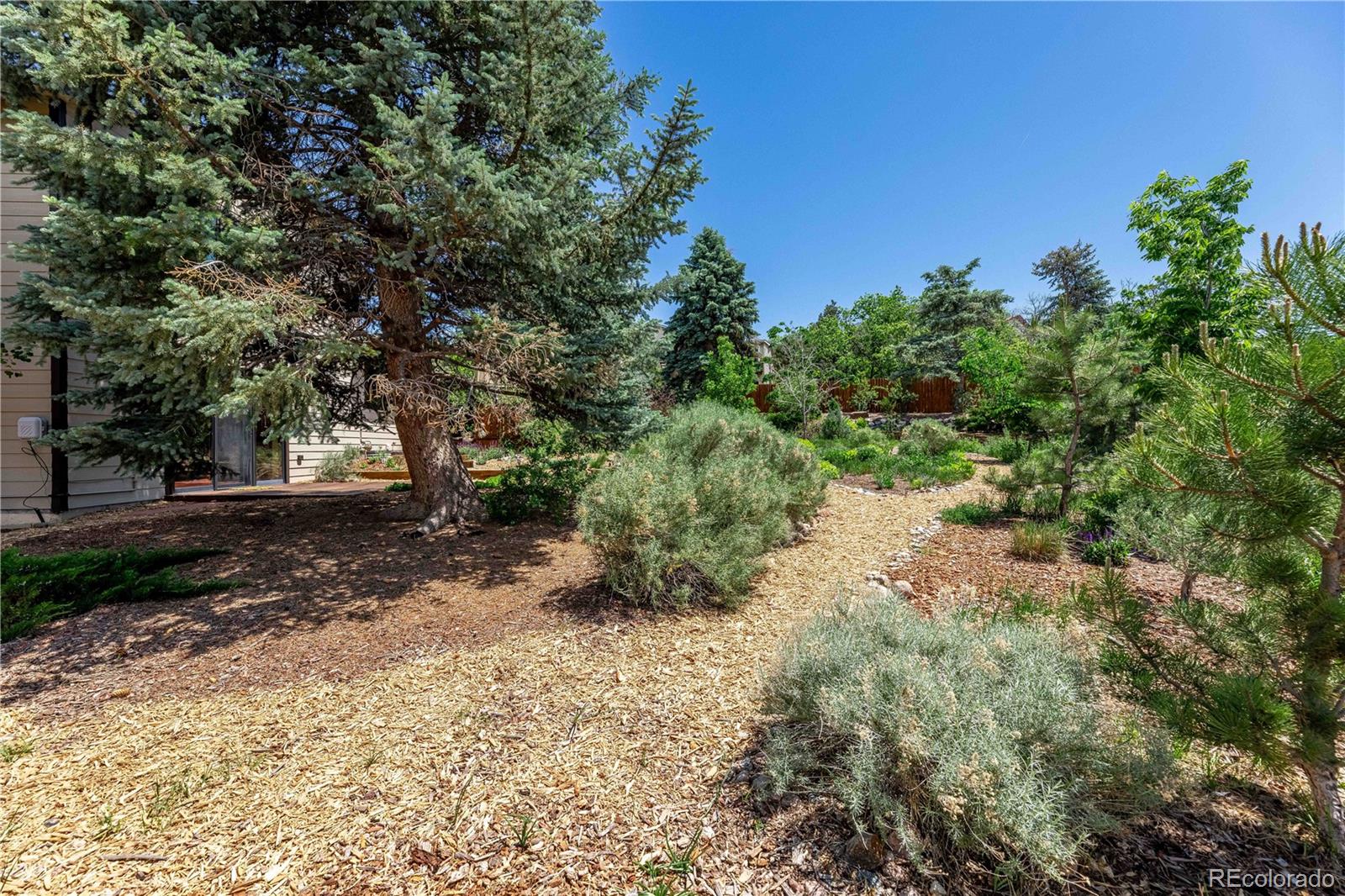 MLS Image #39 for 208  elm court,castle rock, Colorado