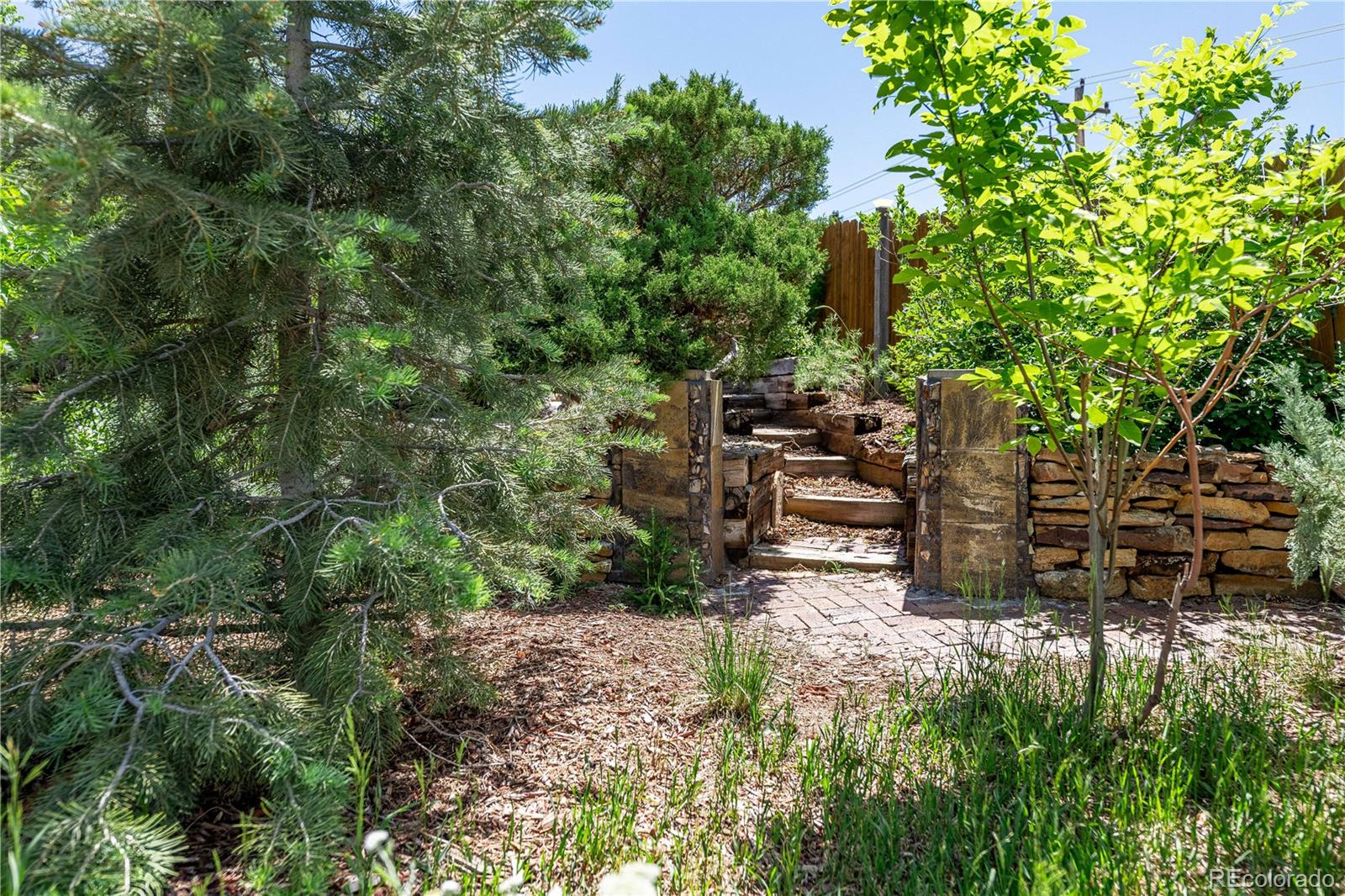MLS Image #40 for 208  elm court,castle rock, Colorado