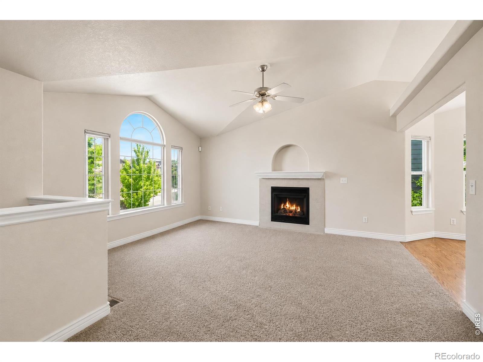 MLS Image #6 for 428  wind river drive,windsor, Colorado