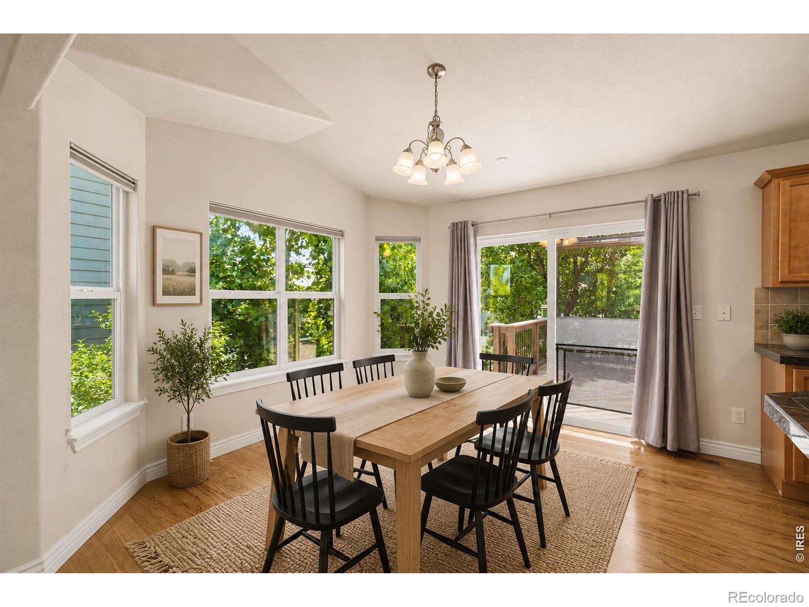 MLS Image #7 for 428  wind river drive,windsor, Colorado