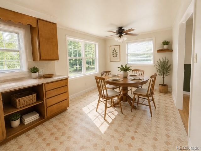 MLS Image #13 for 1461  phillips drive,denver, Colorado