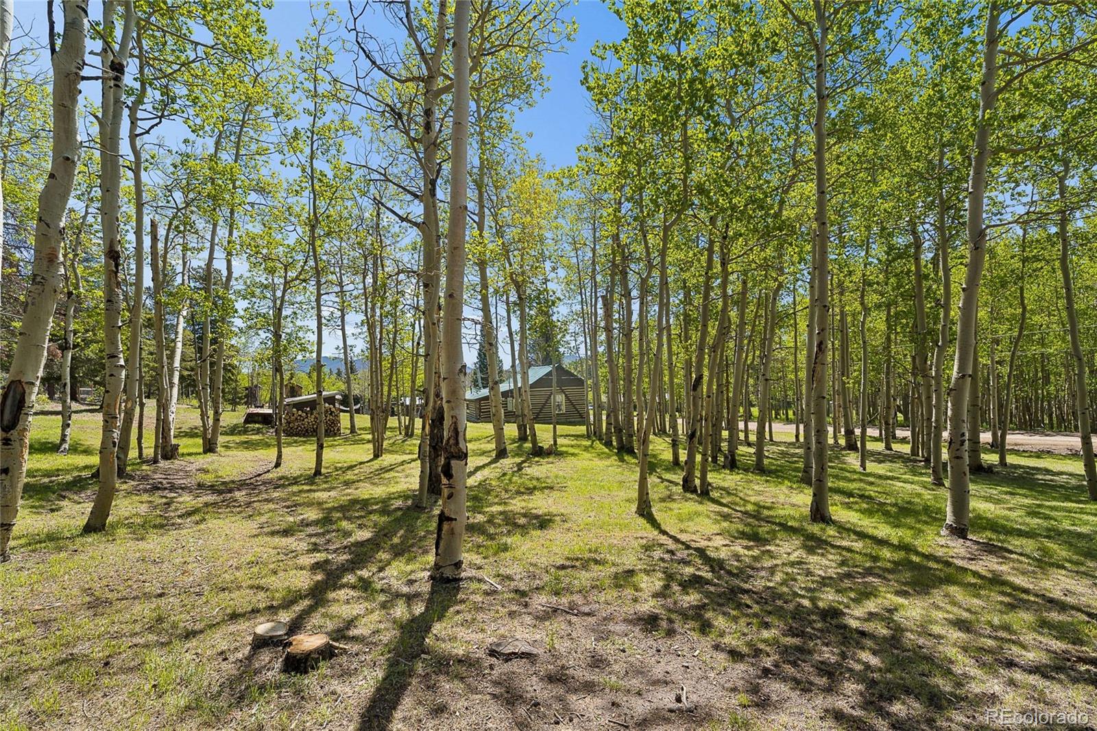MLS Image #32 for 1763  lump gulch road,black hawk, Colorado