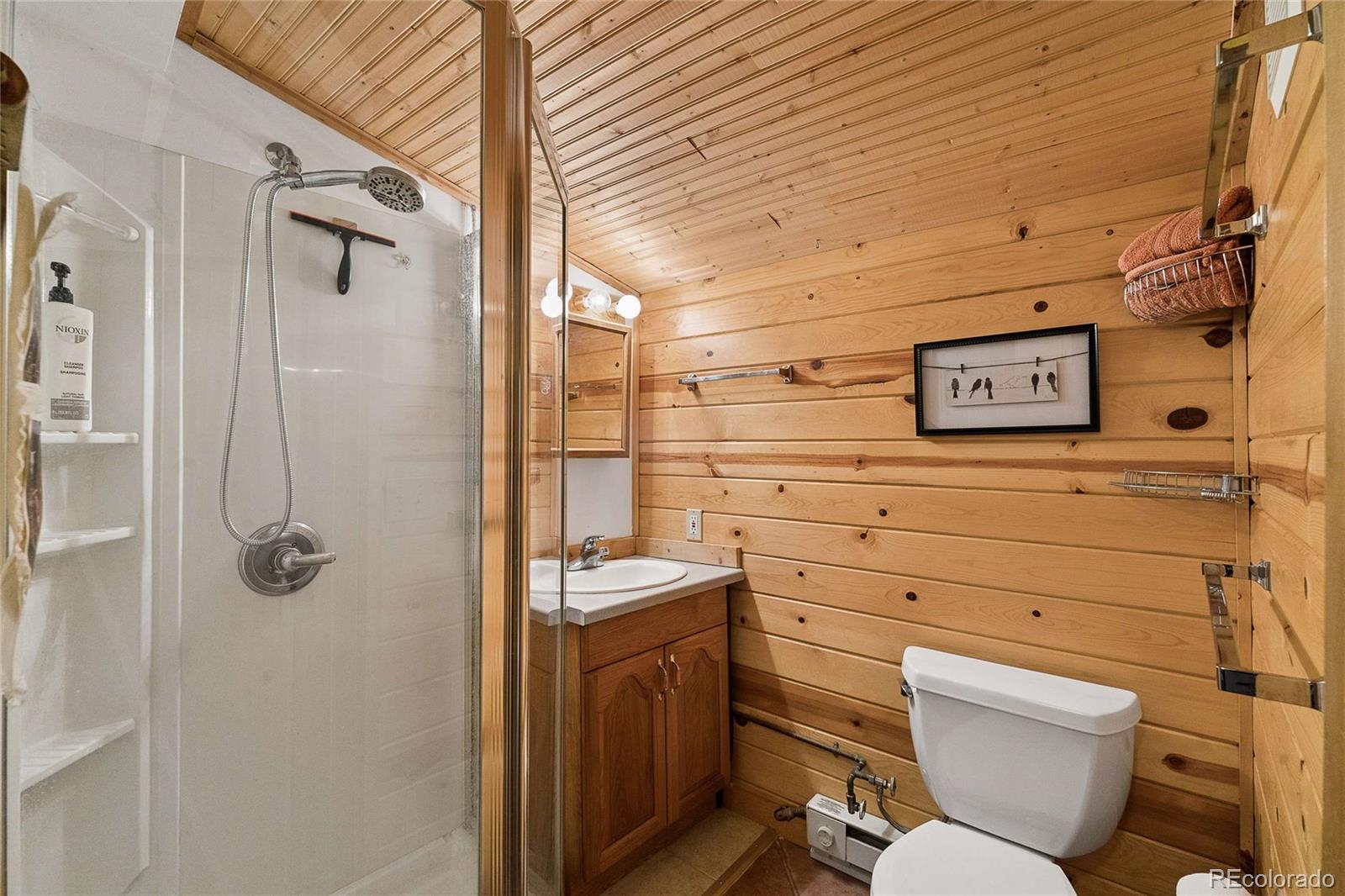 MLS Image #9 for 1763  lump gulch road,black hawk, Colorado