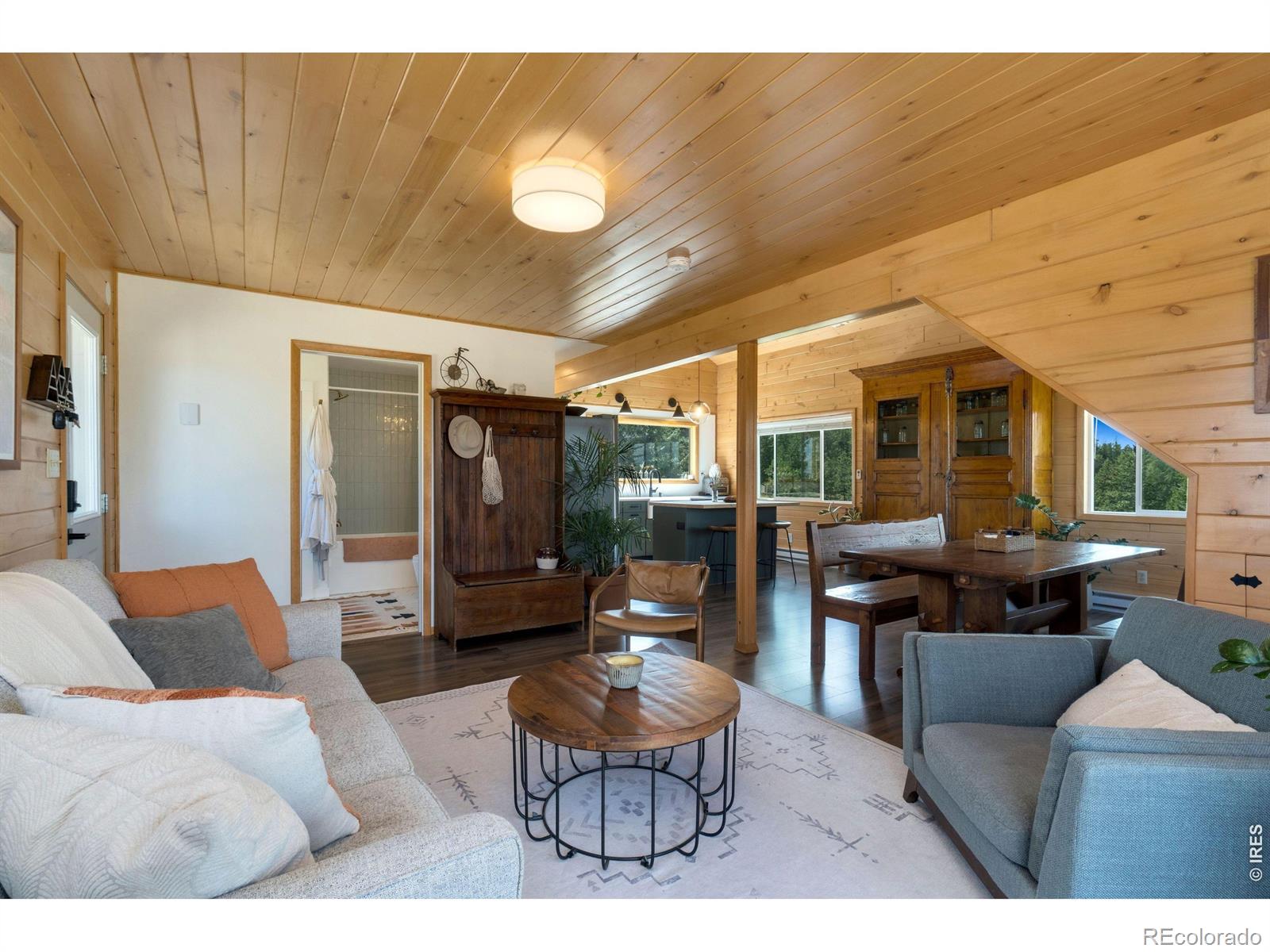 MLS Image #13 for 127  mount sniktau court,livermore, Colorado