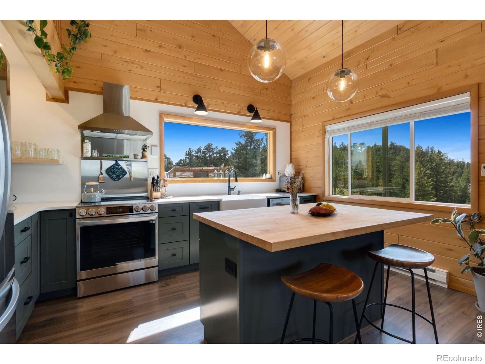 MLS Image #16 for 127  mount sniktau court,livermore, Colorado