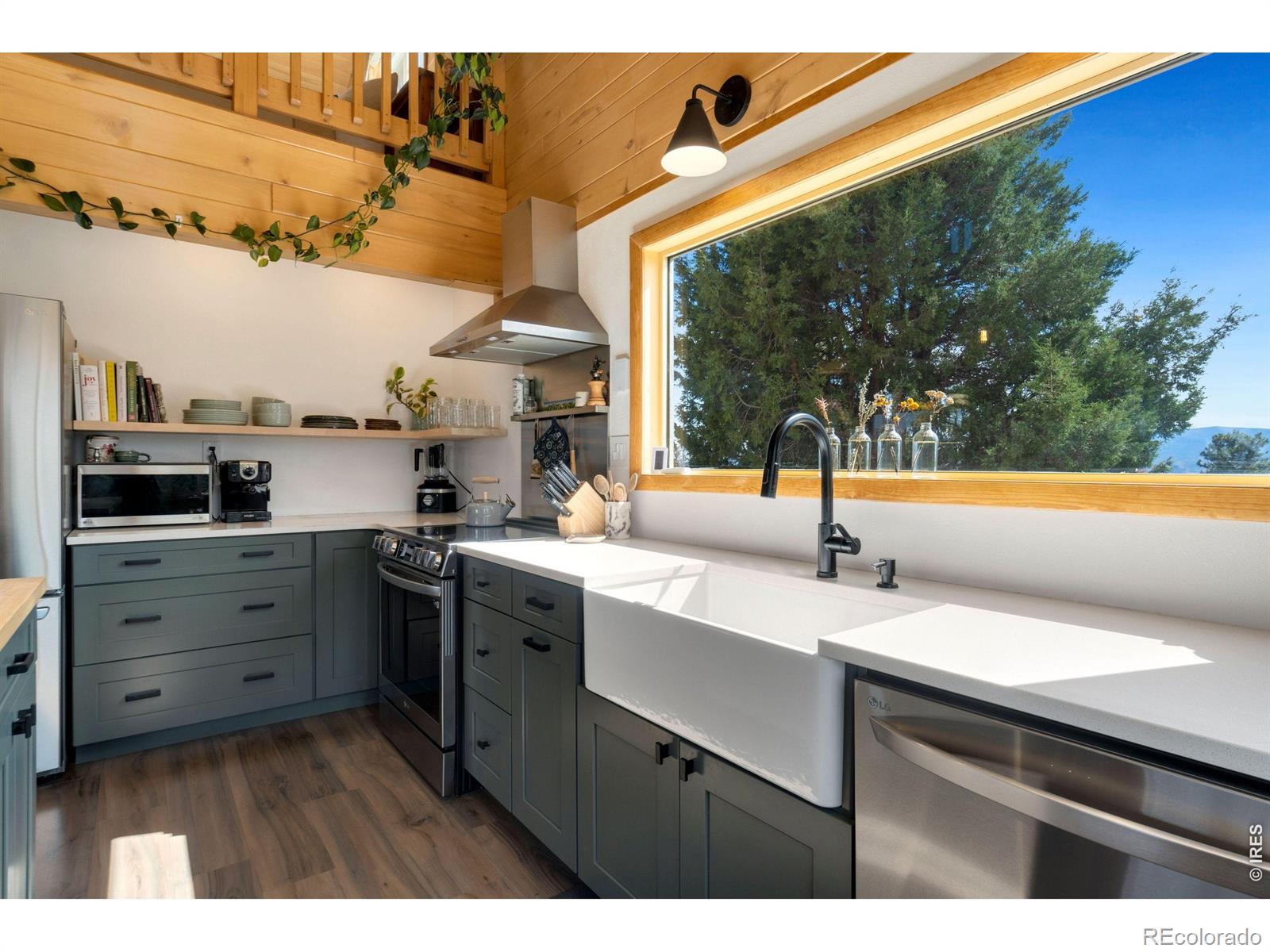 MLS Image #18 for 127  mount sniktau court,livermore, Colorado