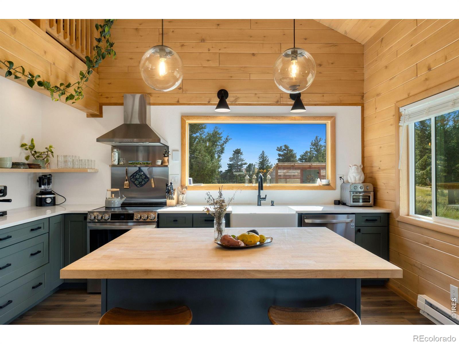 MLS Image #19 for 127  mount sniktau court,livermore, Colorado