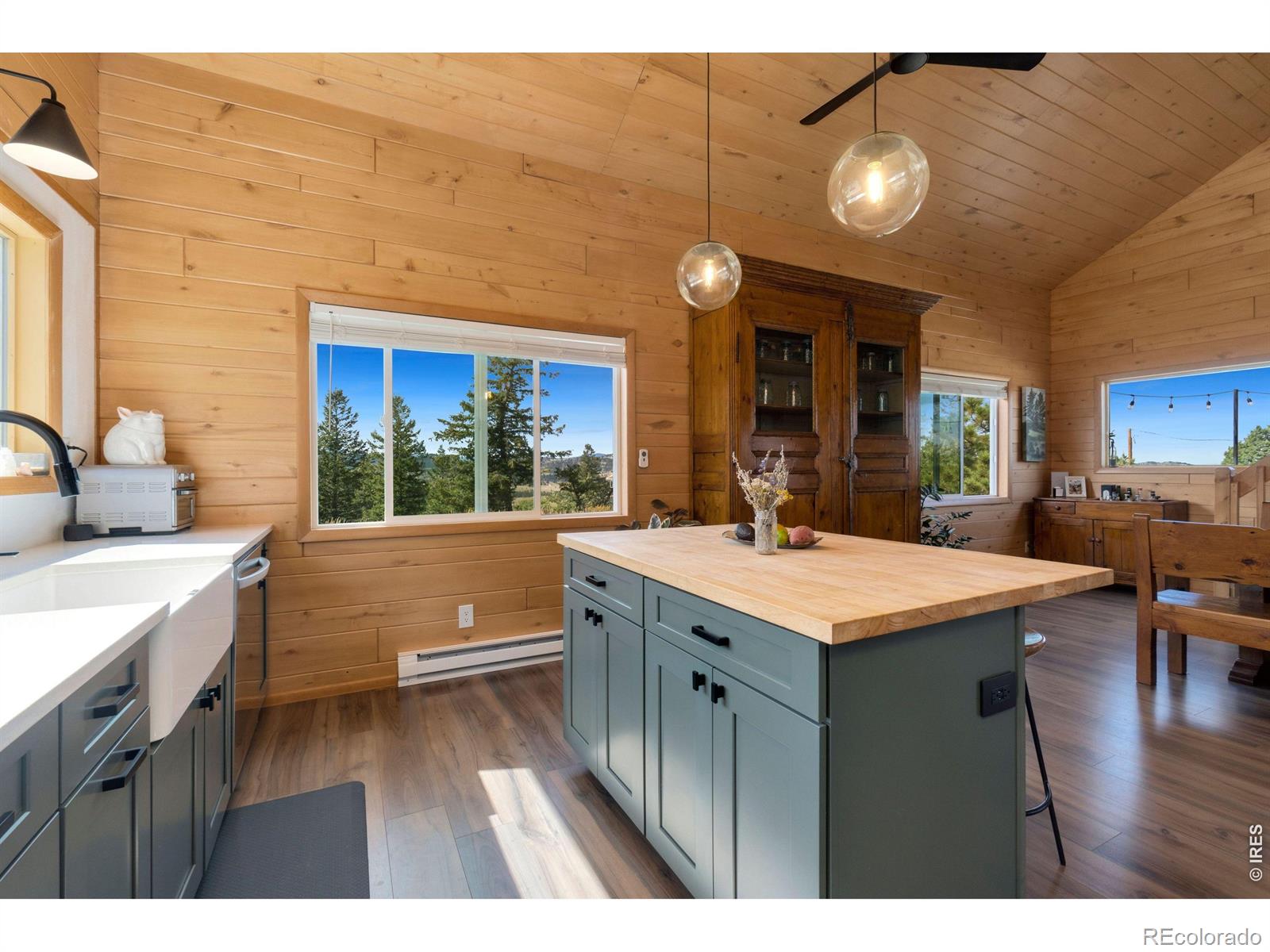 MLS Image #20 for 127  mount sniktau court,livermore, Colorado