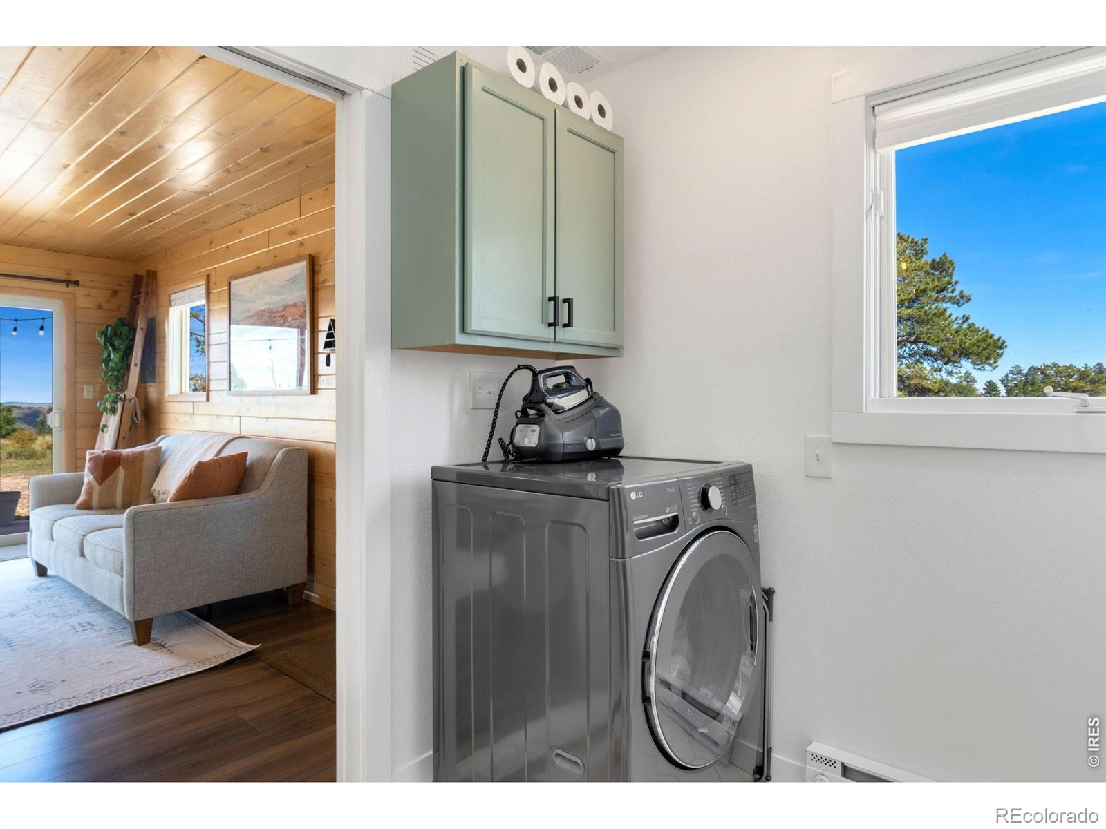 MLS Image #22 for 127  mount sniktau court,livermore, Colorado