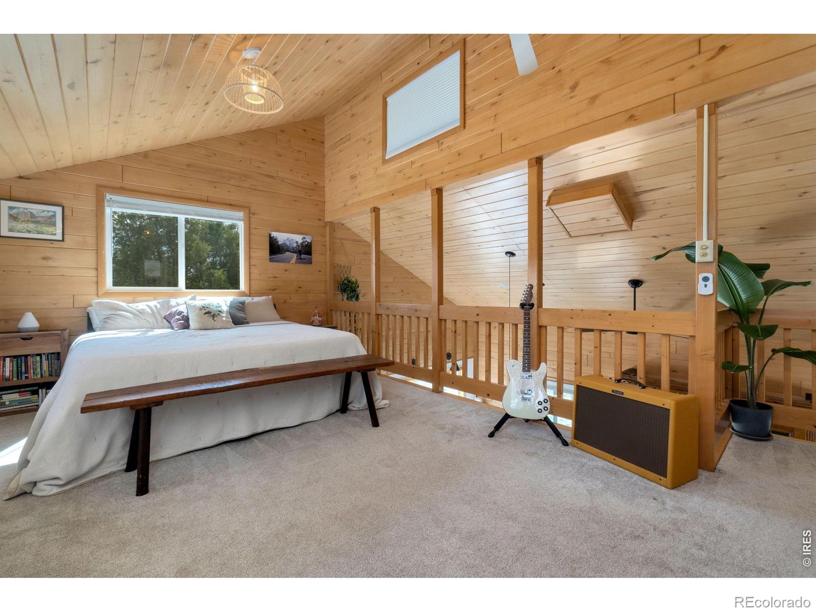 MLS Image #23 for 127  mount sniktau court,livermore, Colorado
