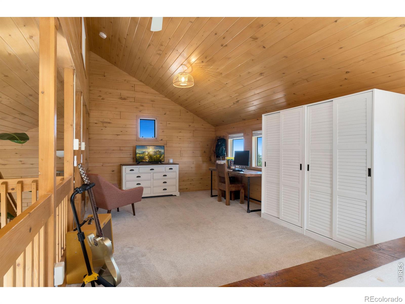 MLS Image #26 for 127  mount sniktau court,livermore, Colorado