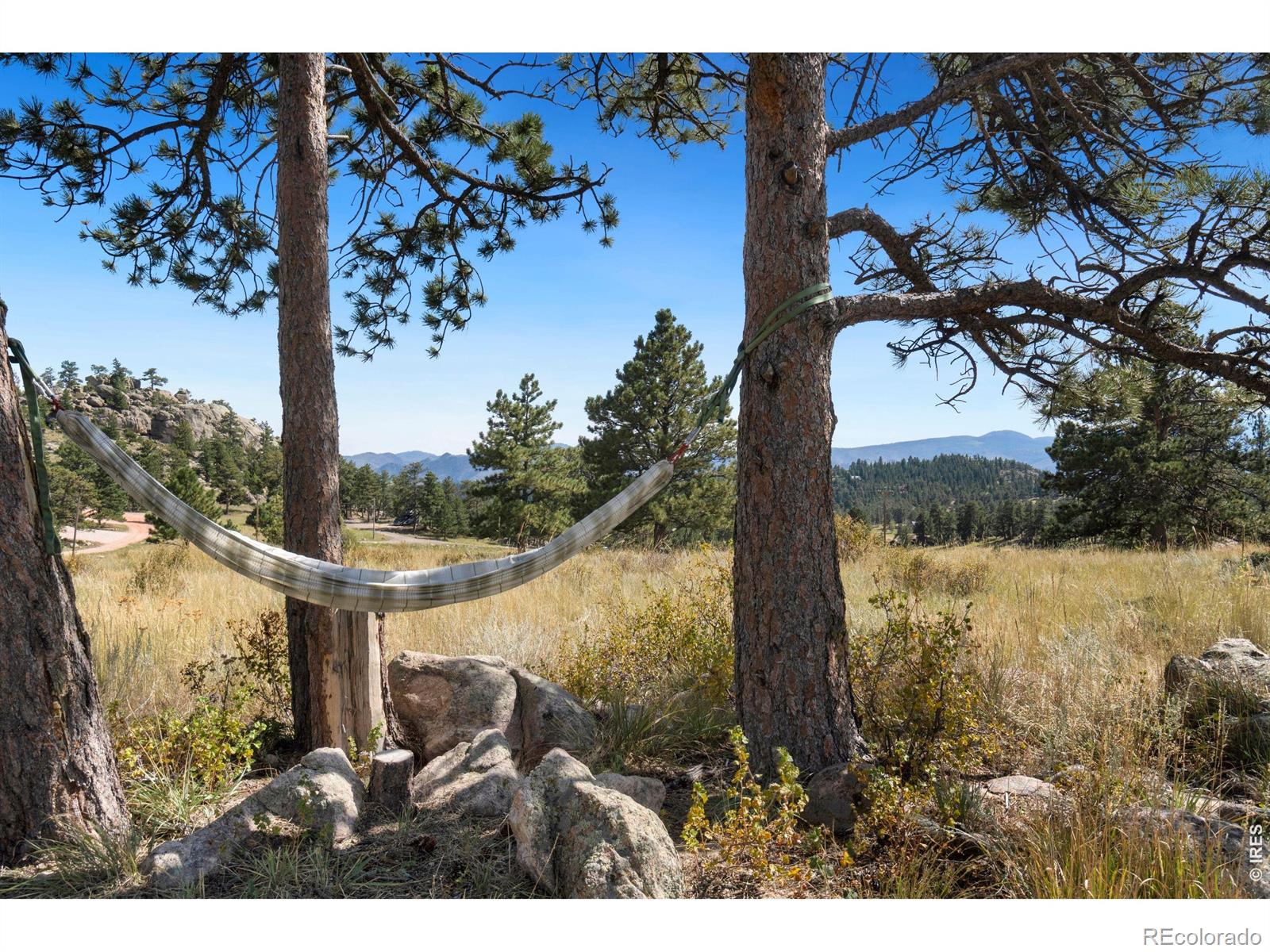 MLS Image #28 for 127  mount sniktau court,livermore, Colorado