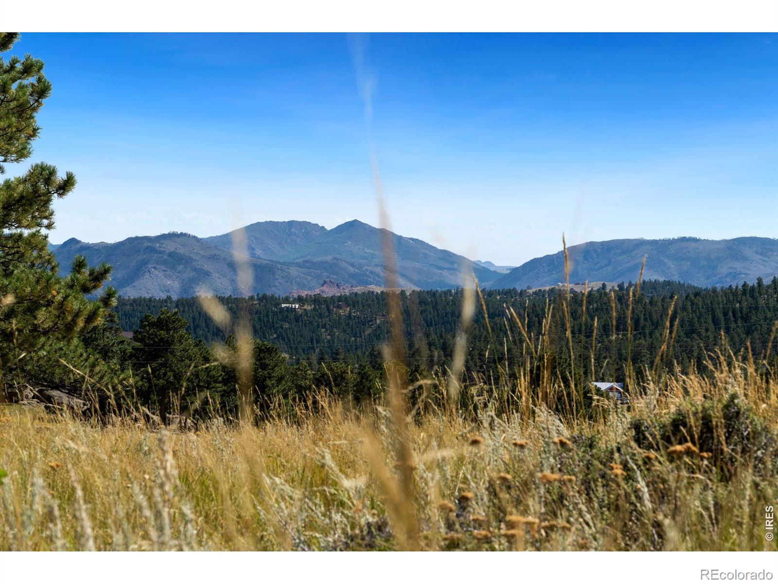 MLS Image #30 for 127  mount sniktau court,livermore, Colorado
