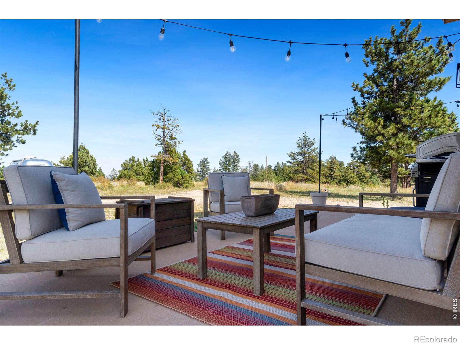 MLS Image #5 for 127  mount sniktau court,livermore, Colorado