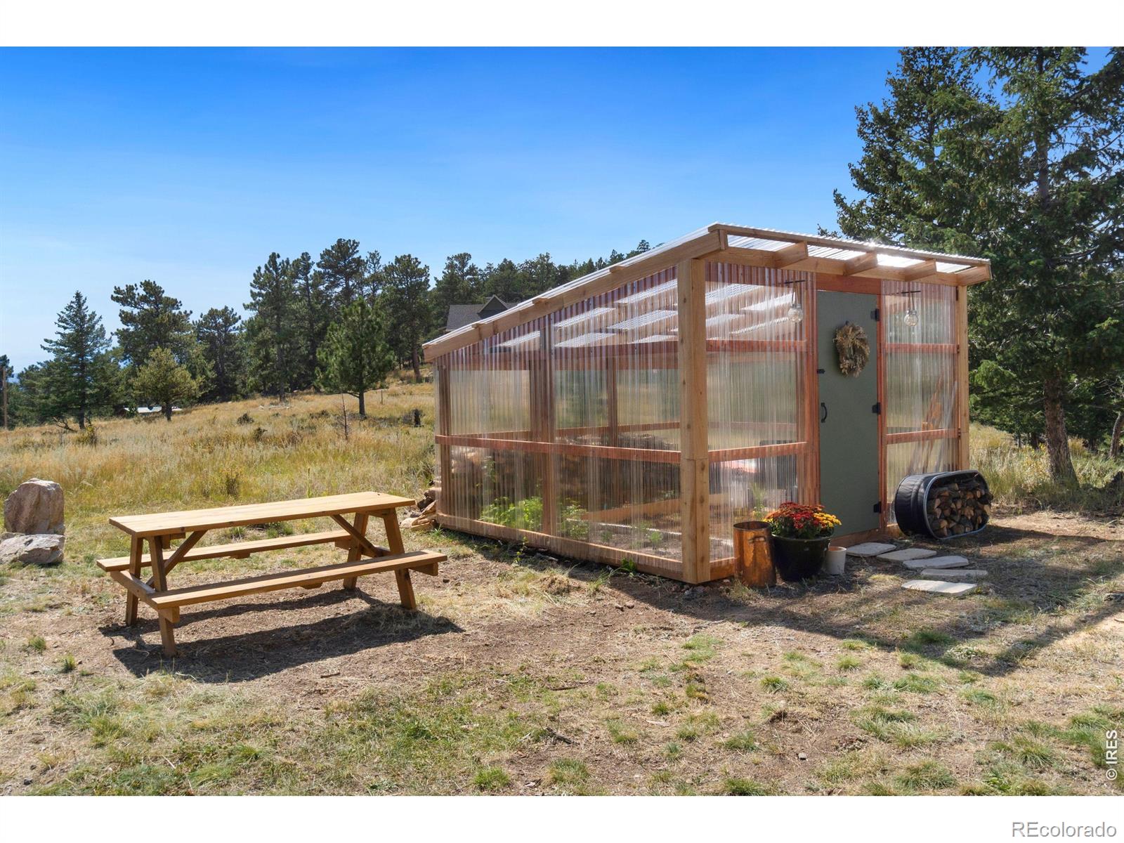 MLS Image #7 for 127  mount sniktau court,livermore, Colorado