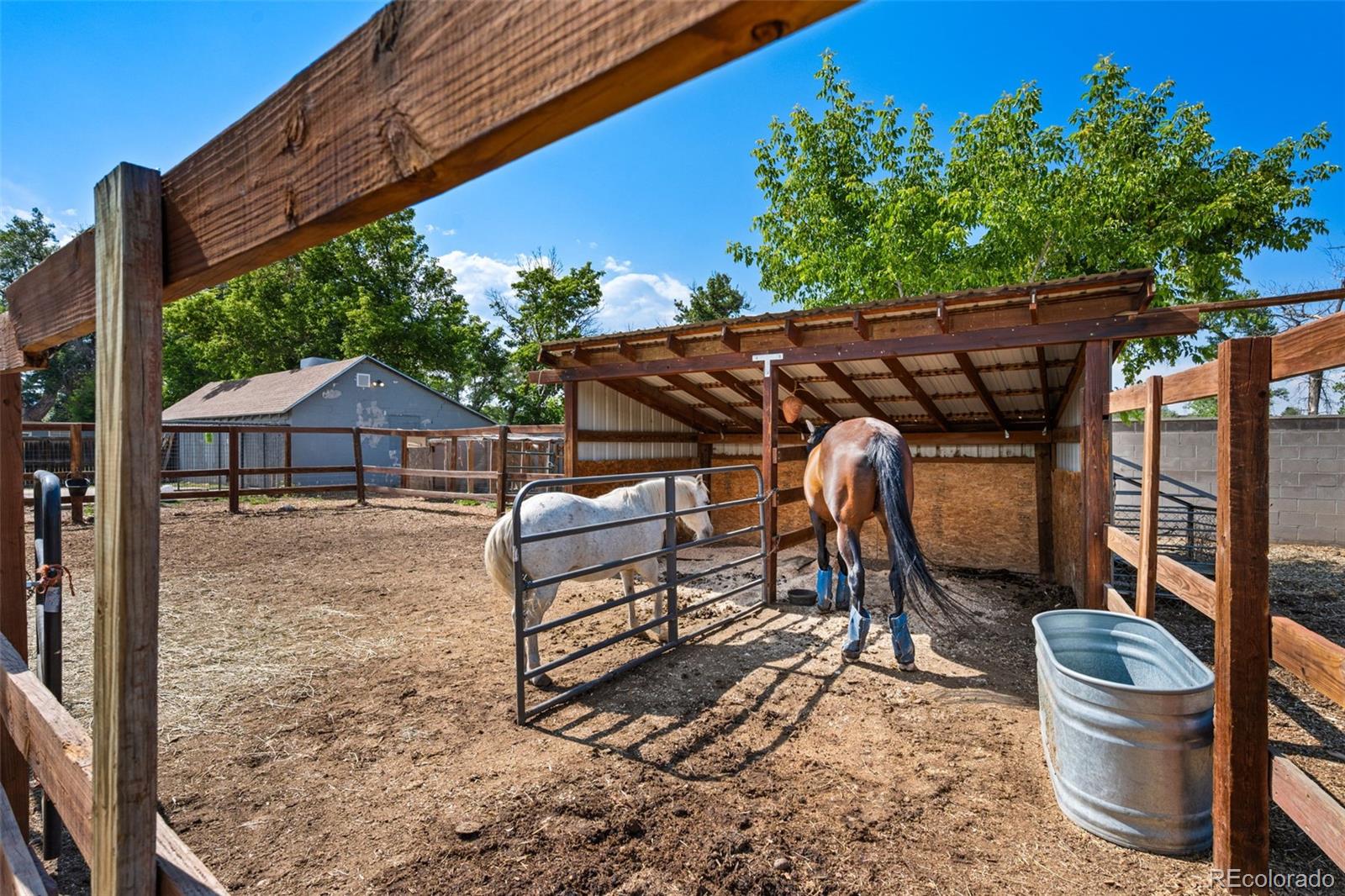MLS Image #34 for 4720  robb street,wheat ridge, Colorado
