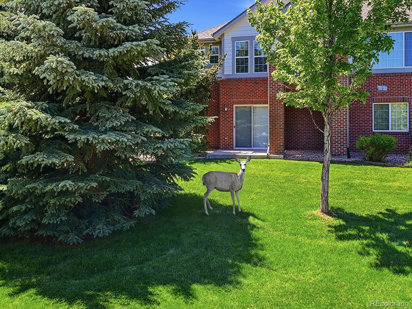 MLS Image #31 for 22462 e alder drive,aurora, Colorado