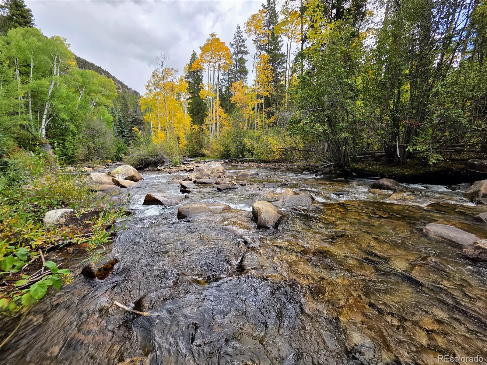MLS Image #17 for 16101  rob roy ms mc ,nathrop, Colorado